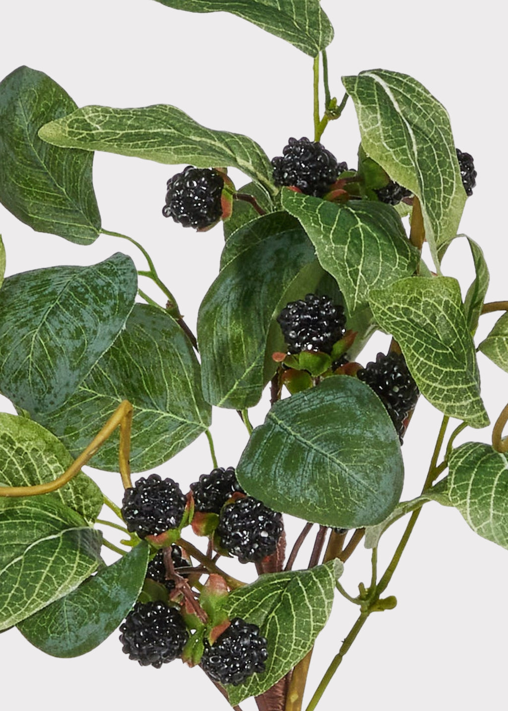 Is A Pink Raspberry Artificial Black Raspberry Pick | Artificial Berries and Fruit at Afloral