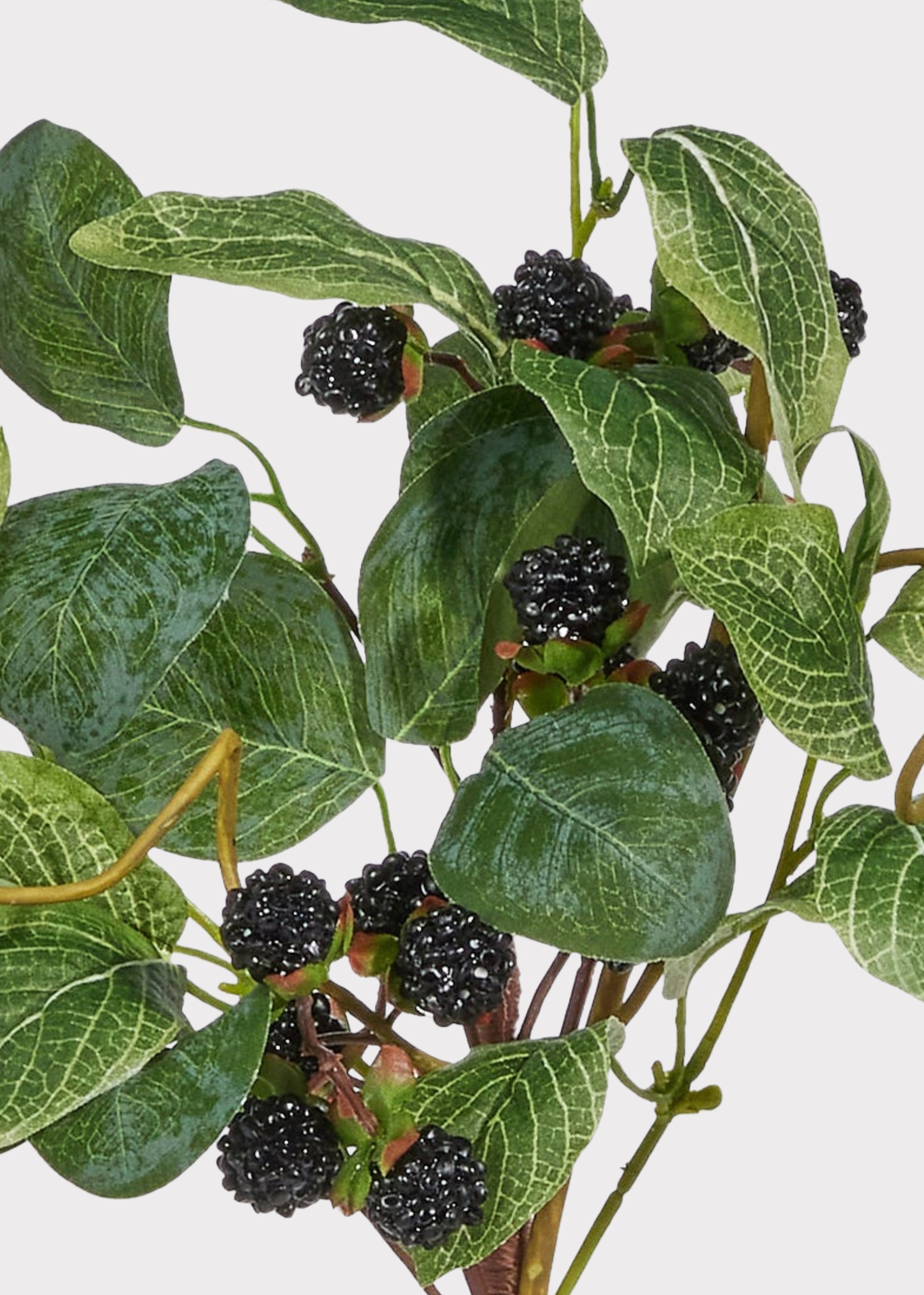 Close-up of fake black raspberries