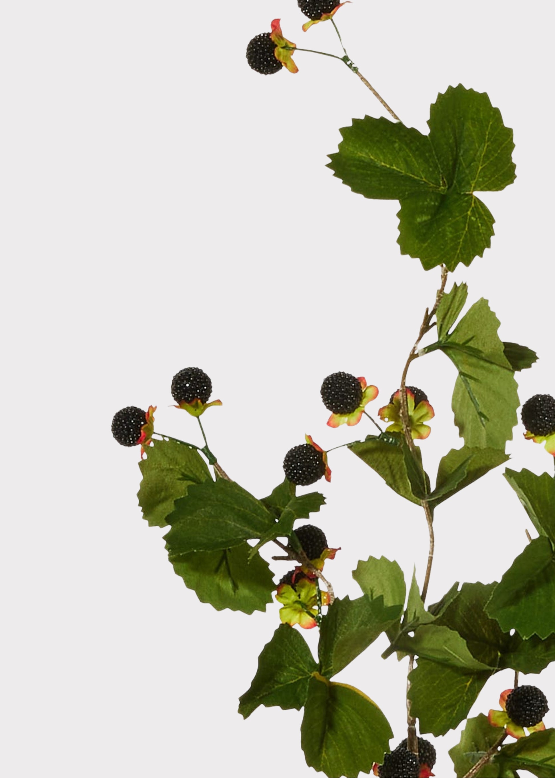Close-up of black fake raspberries