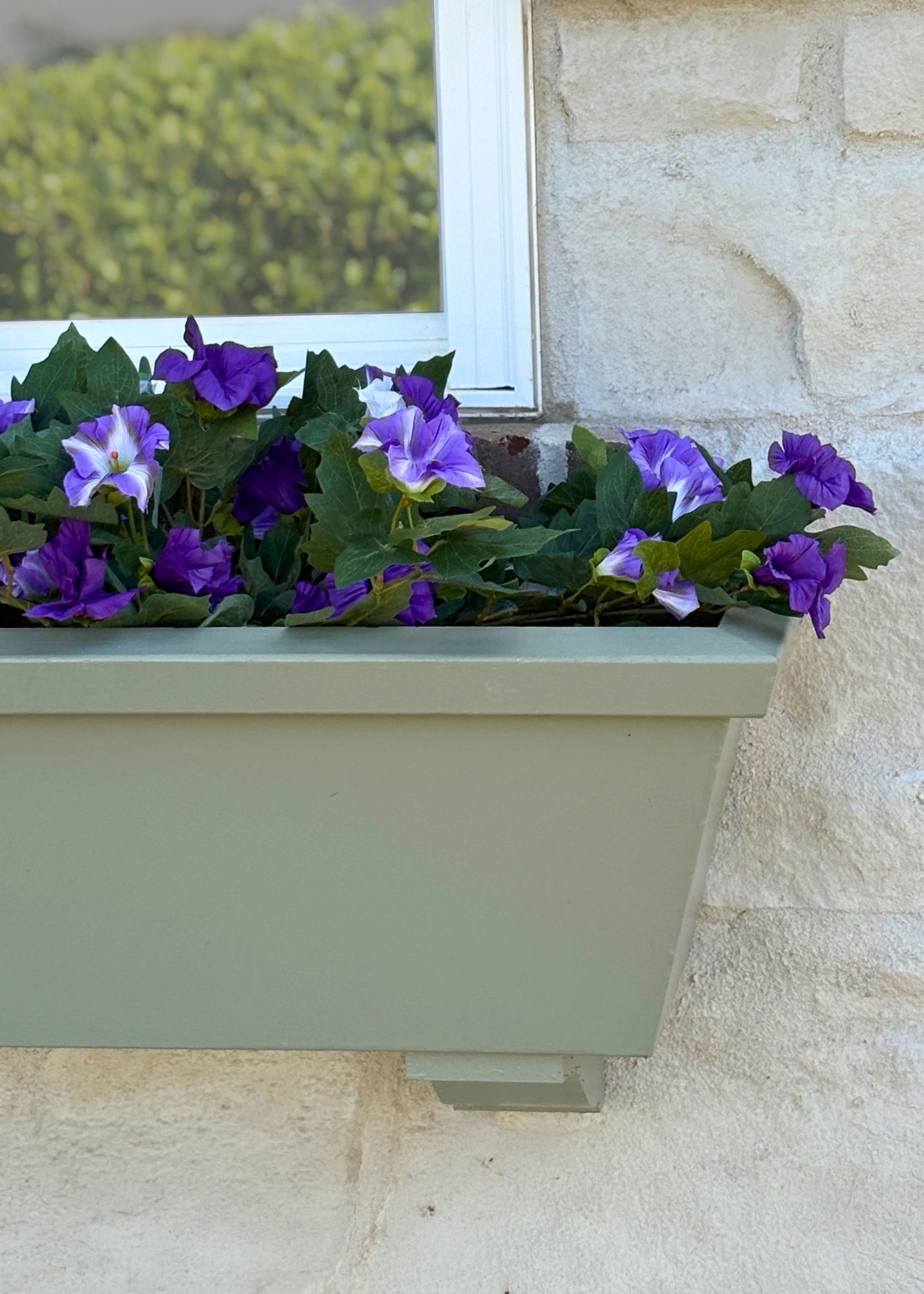 hanging petunia plants for sale 26" UV Hanging Petunia Plant Lavender White