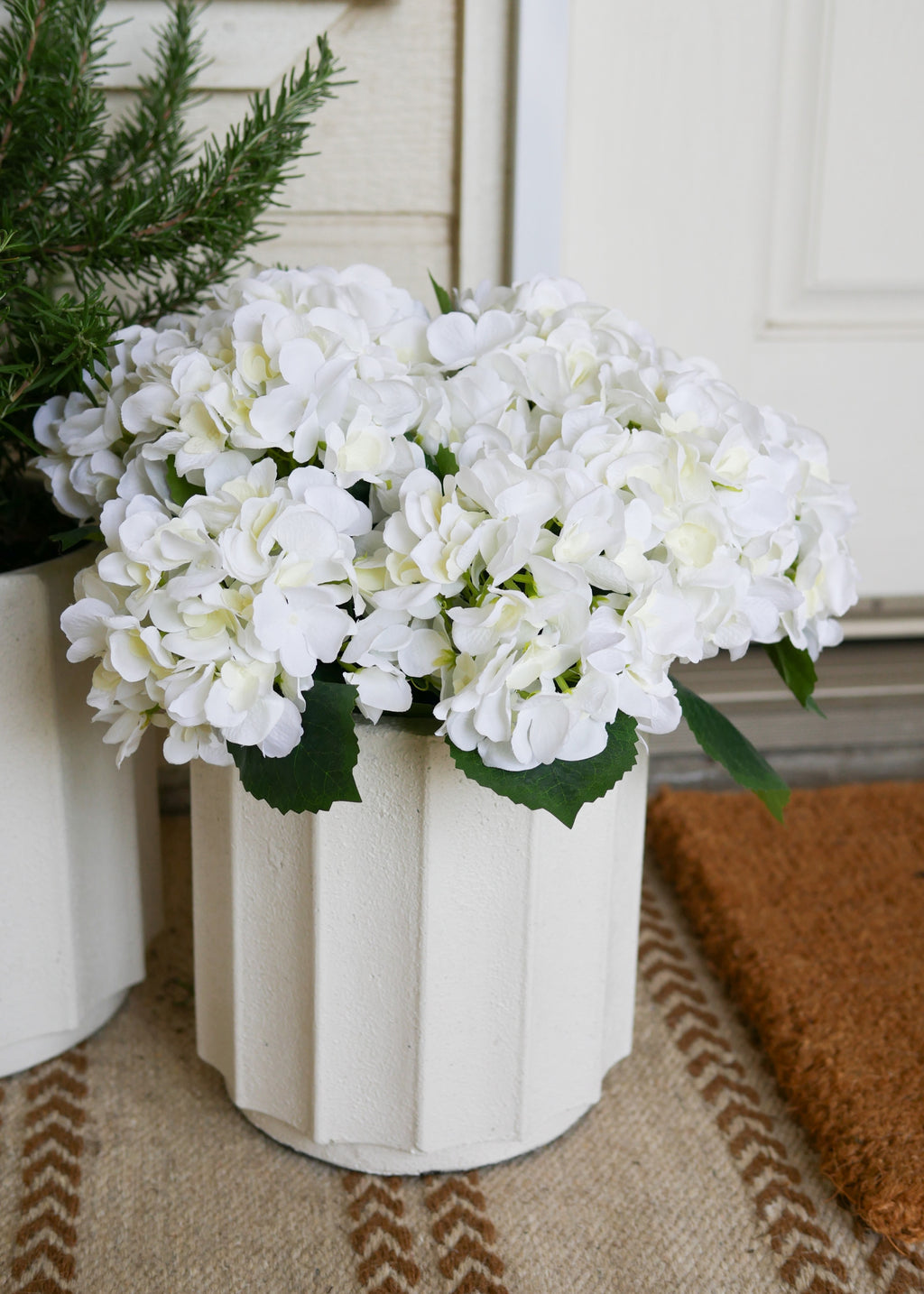 white potted hydrangea