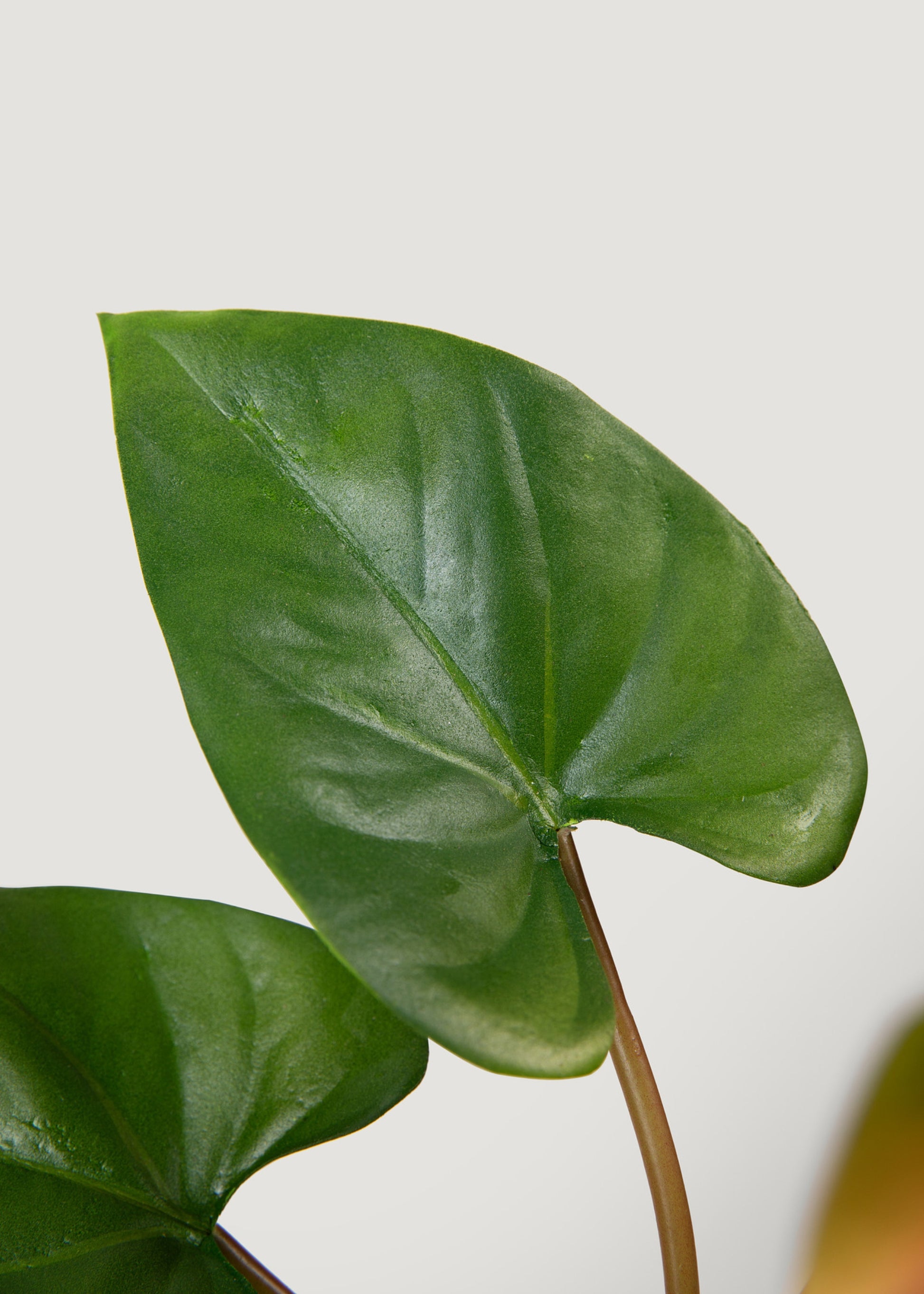 anthurium leaf artificial Pink and Green Fake Tropical Flower Anthurium Bundle