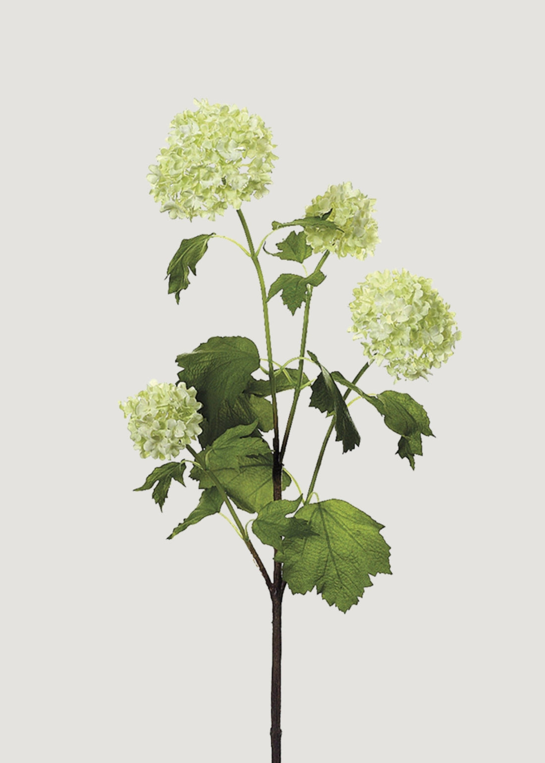 Faux Snowball Flowers in Cream Green
