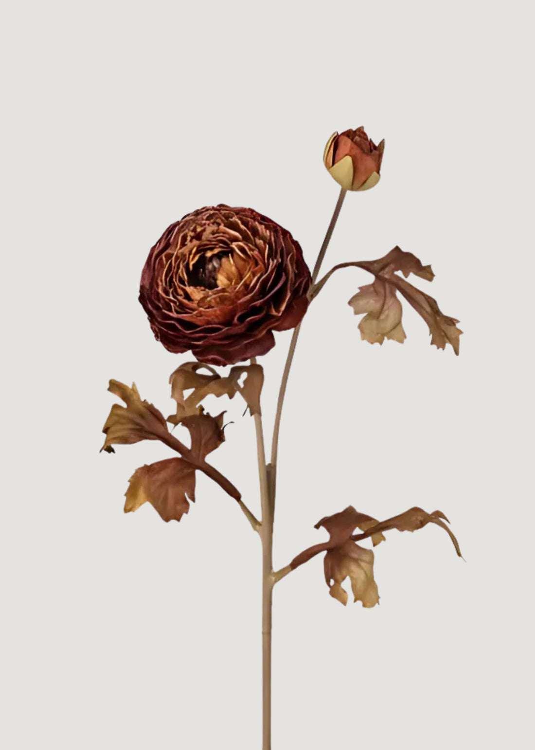 Faux Ranunculus Flower in Cinnamon