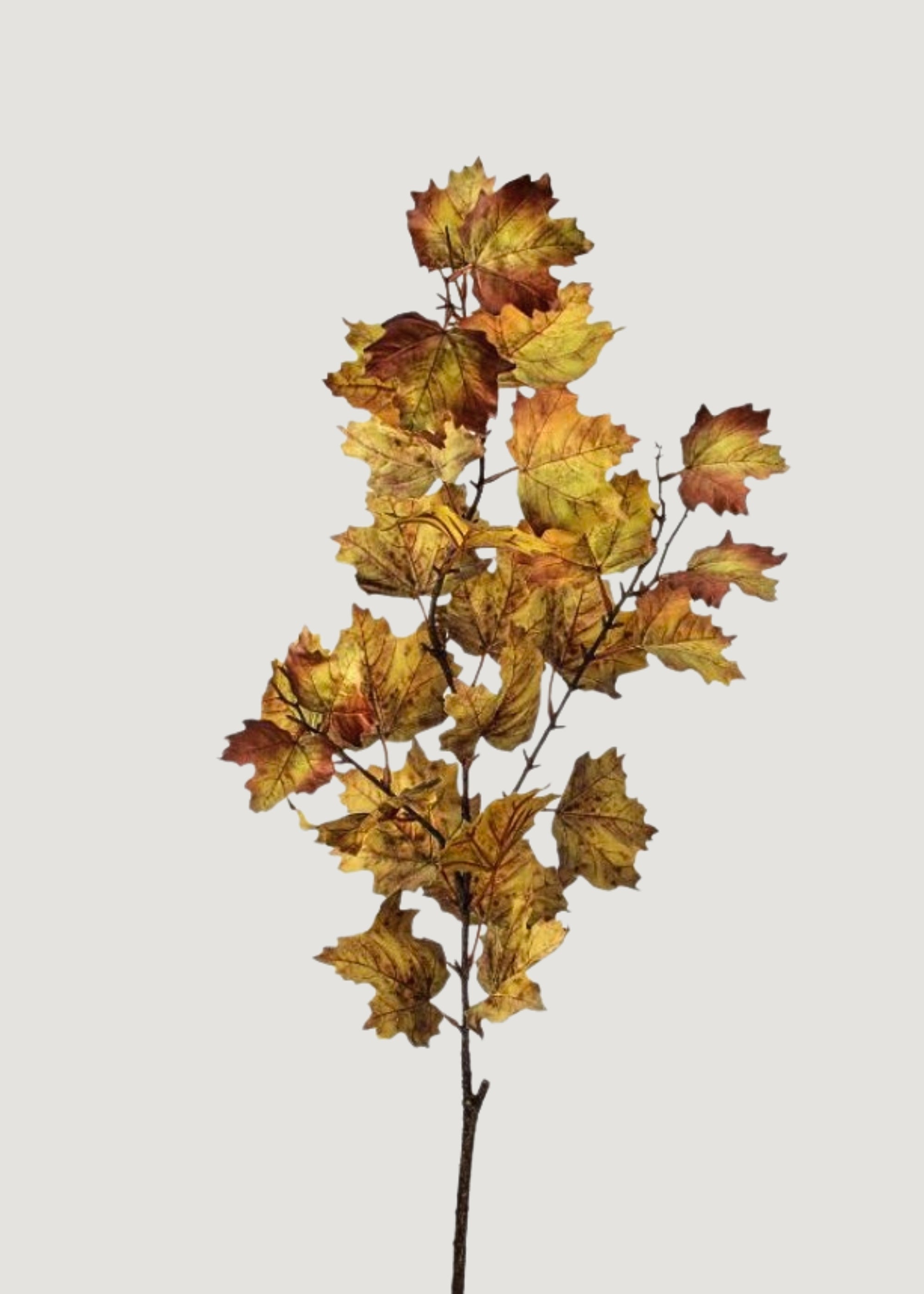 Fake Maple Leaf Branch
