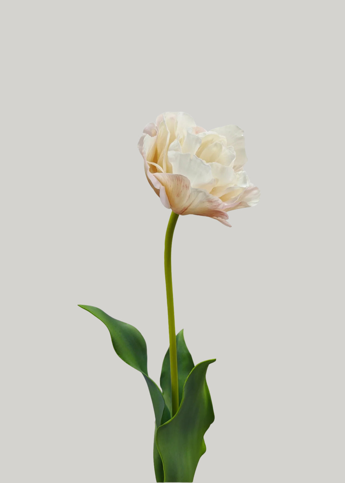Real Touch Double Tulip 