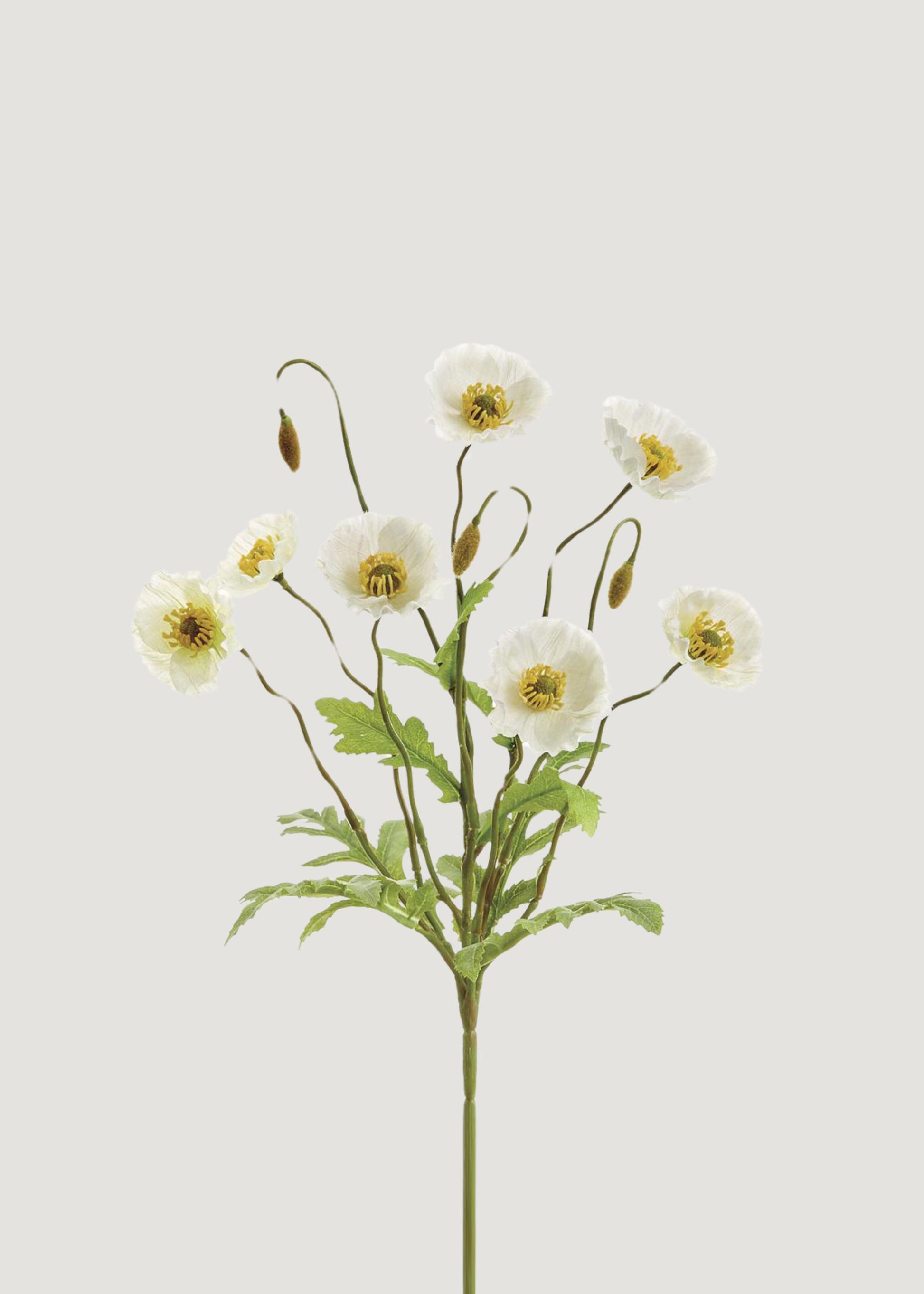 Faux Flowers Poppy Bush in Cream