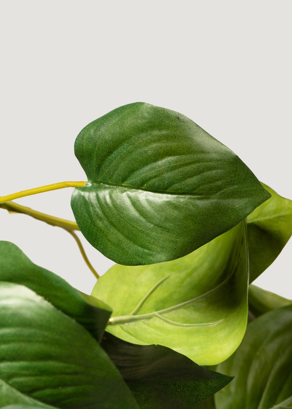 faux philodendron flower Fake Philodendron Tropical Leaves Plant