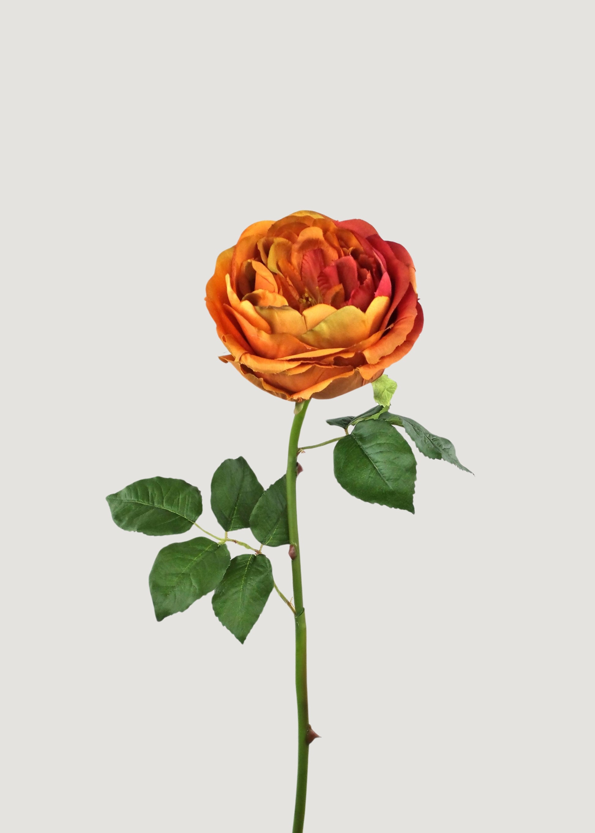 Artificial Rose in Burnt Orange 