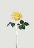 Yellow  Natural Touch Rose 