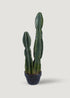 Fake Potted Cactus Plant