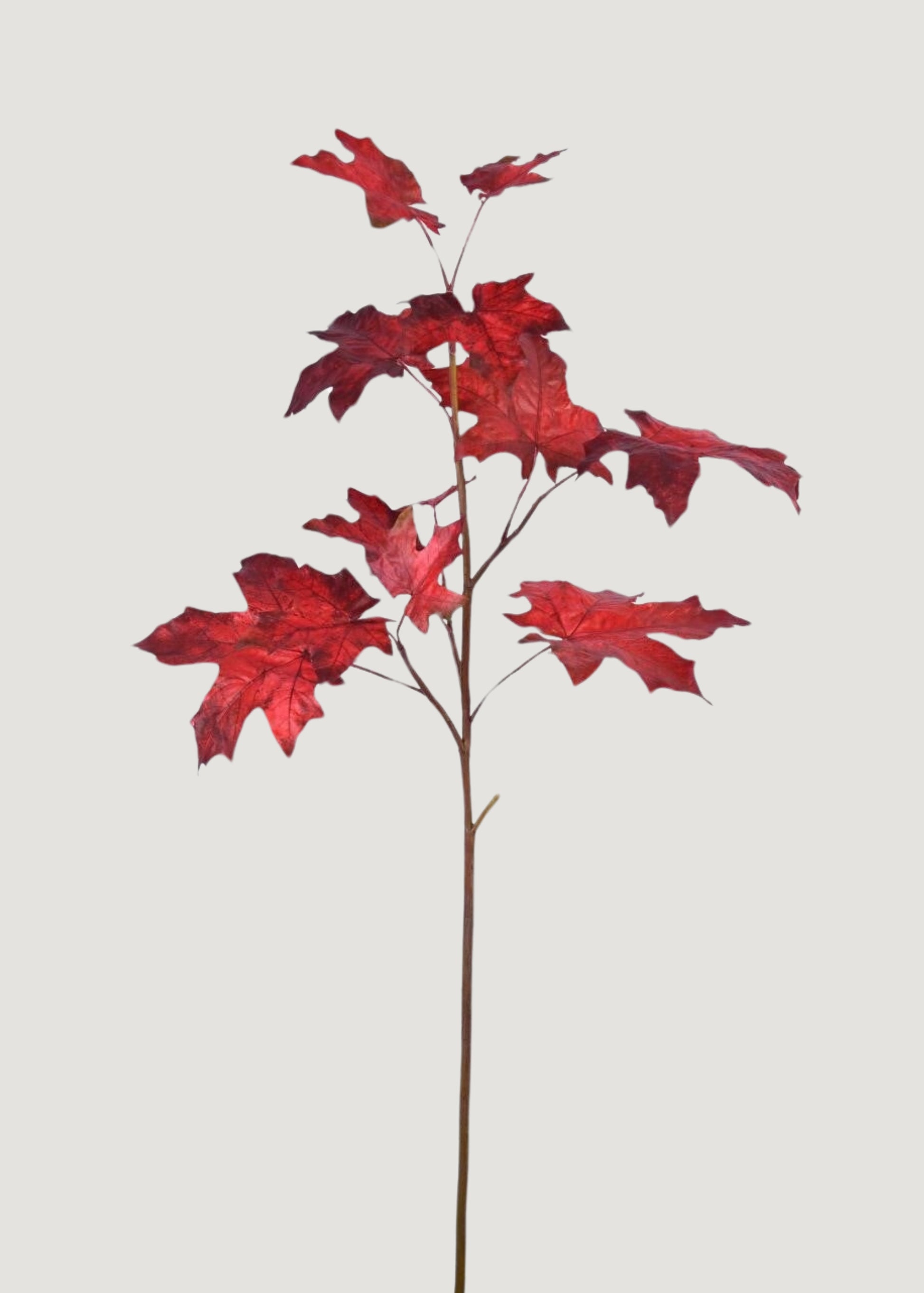 house plant with maple like leaves Deluxe Fake Fall Maple Leaf Branch in Red
