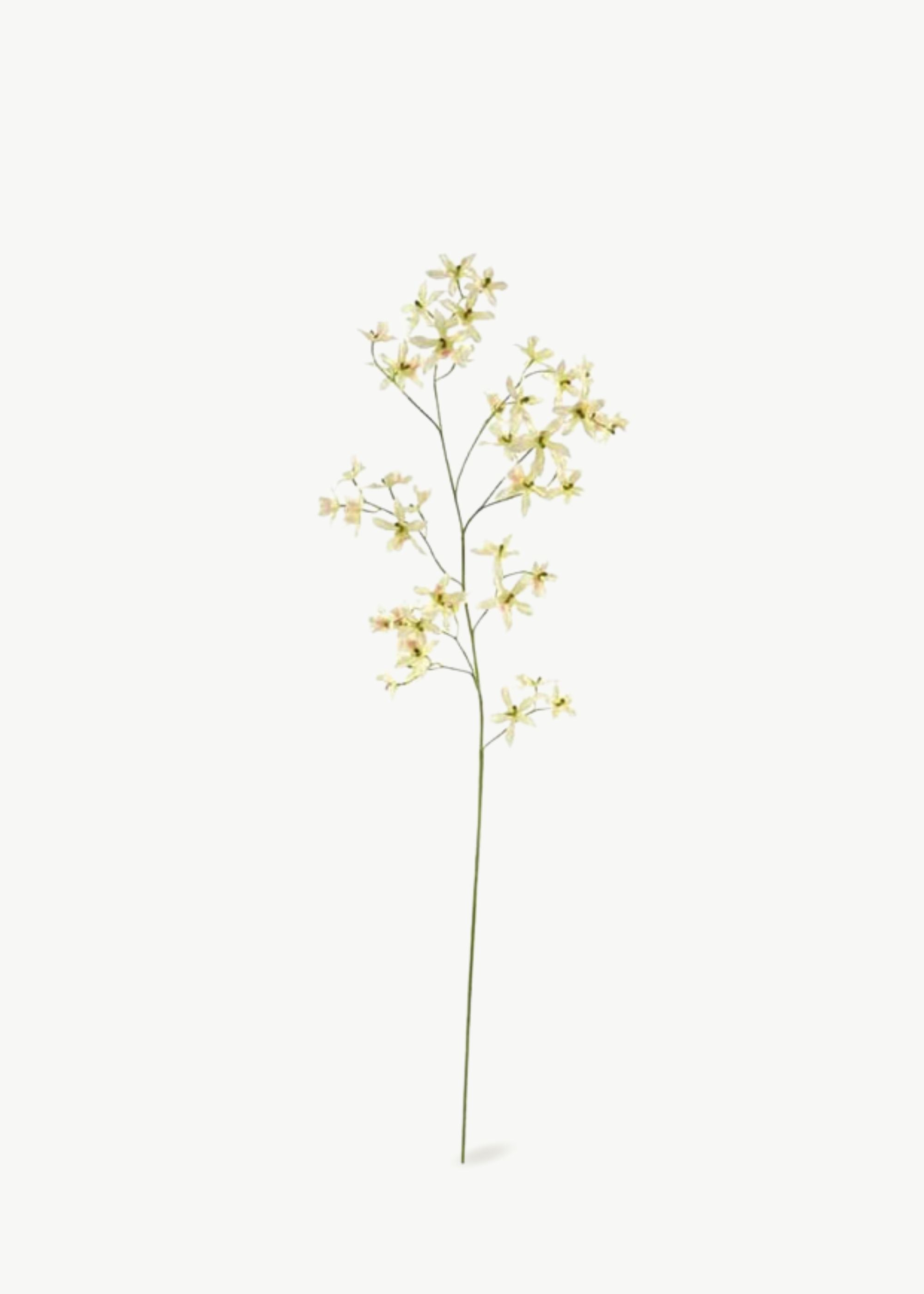 Oncidium Orchid Branch in White Luxe Faux Orchids at Afloral
