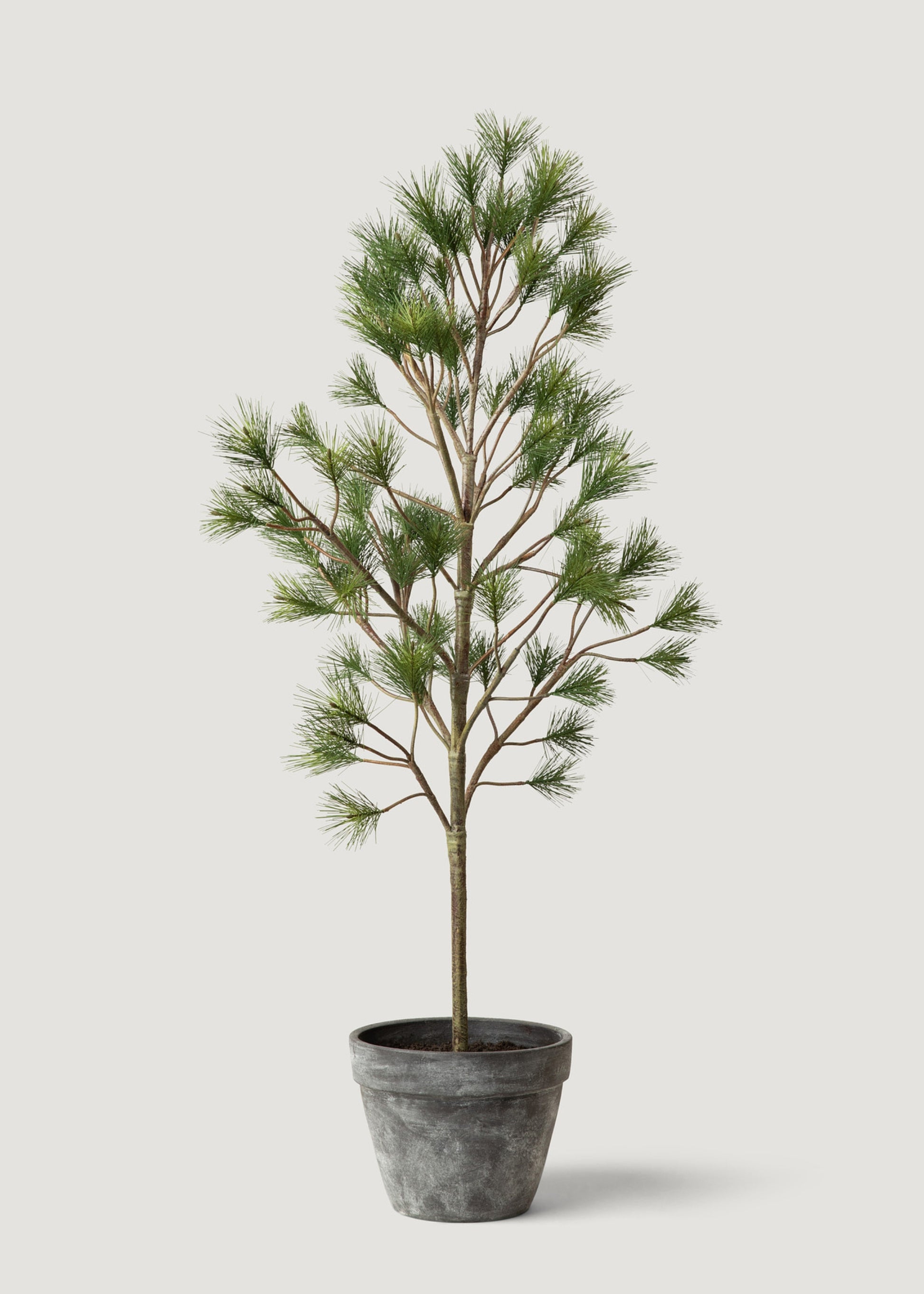 fake pot plant christmas tree Potted Forest Pine Tree