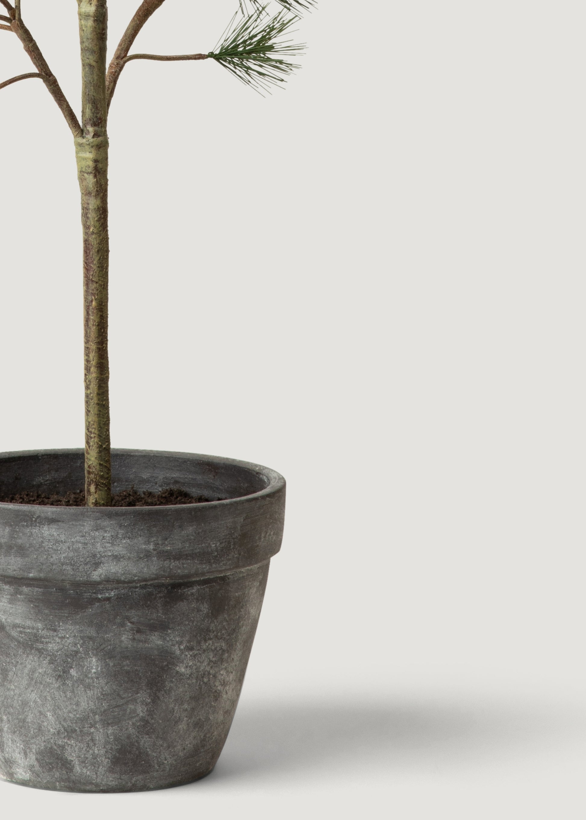 grey potted artificial plants Potted Forest Pine Tree