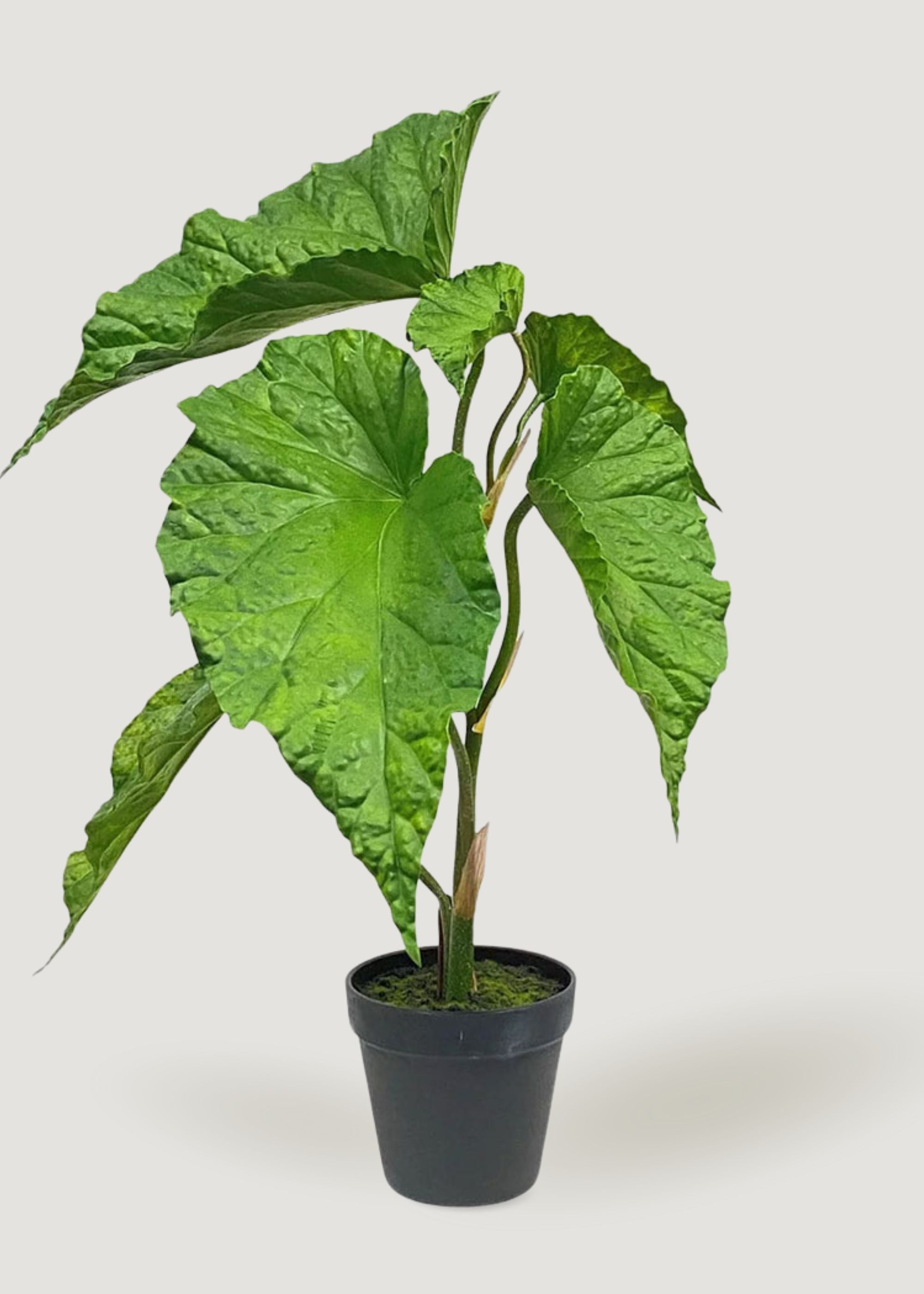 Tropical Elephant Ear Plant Artificial Potted Plants at Afloral