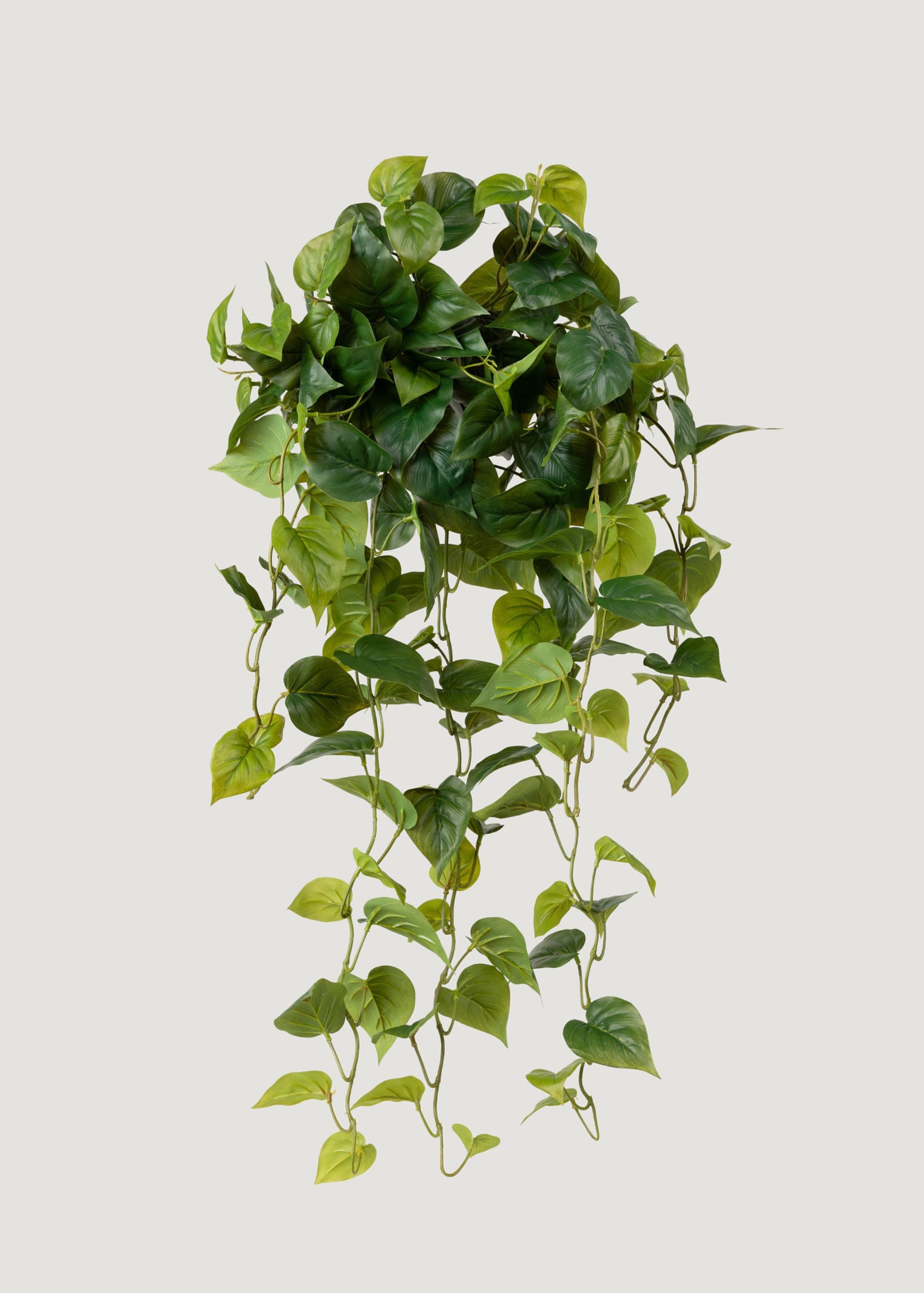 split leaf philodendron fake Real Touch Philodendron Hanging Plant