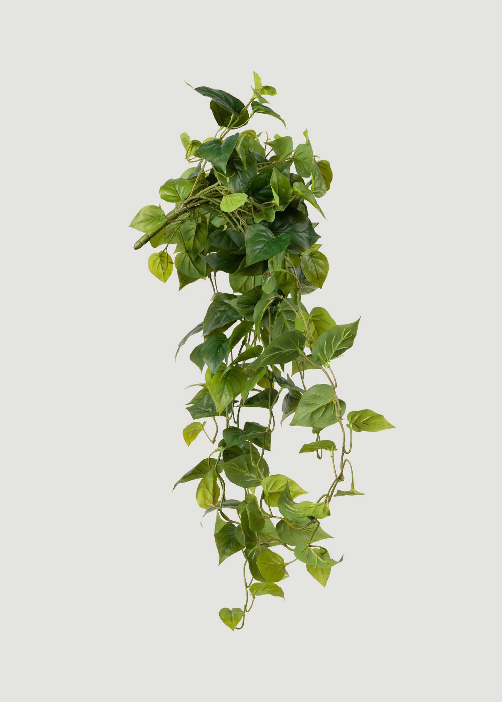philodendron eva Real Touch Fake Philodendron Hanging Plant