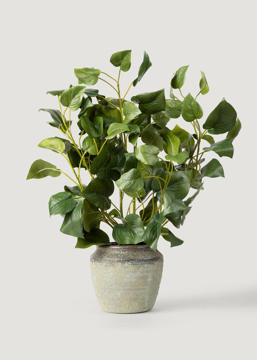 Faux Philodendron Tropical Plant - 28