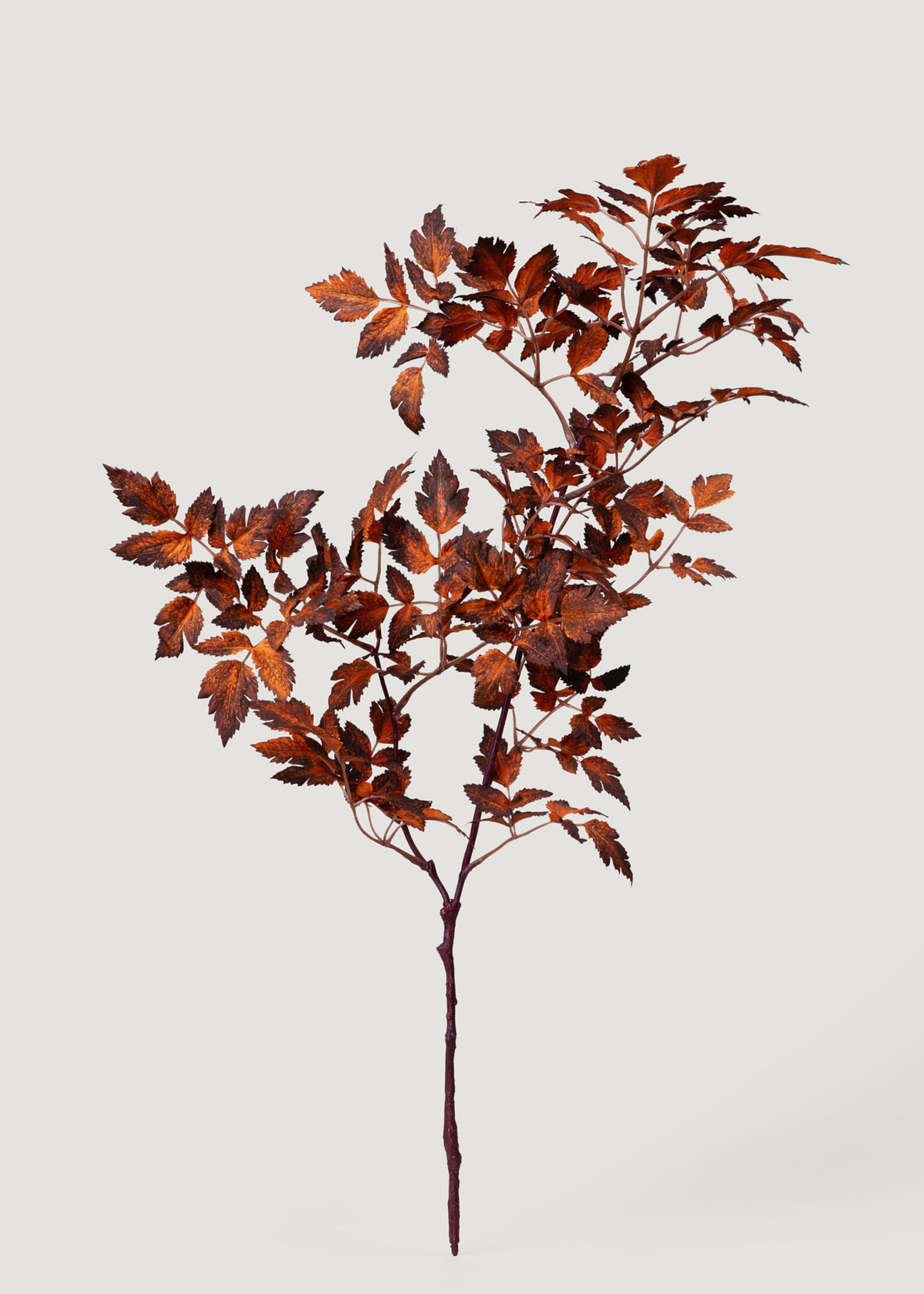 Afloral Faux Cimicifuga Leaf Spray in Brown 