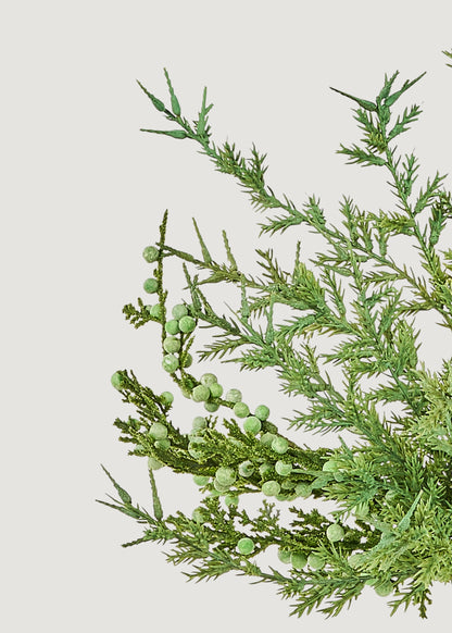 Close-up of Small Juniper Spray