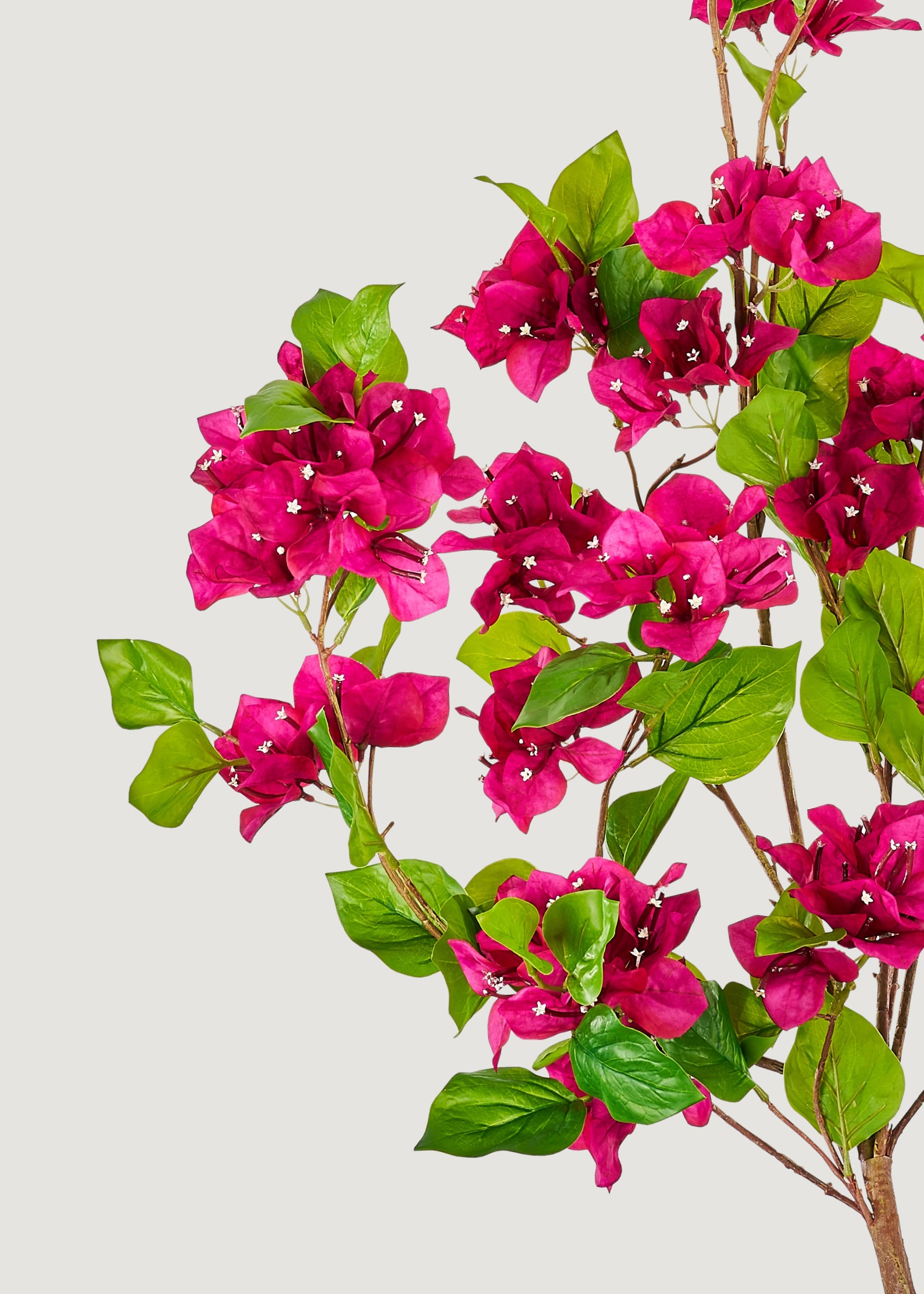 Close-up of pink artificial bougainvillea flowers