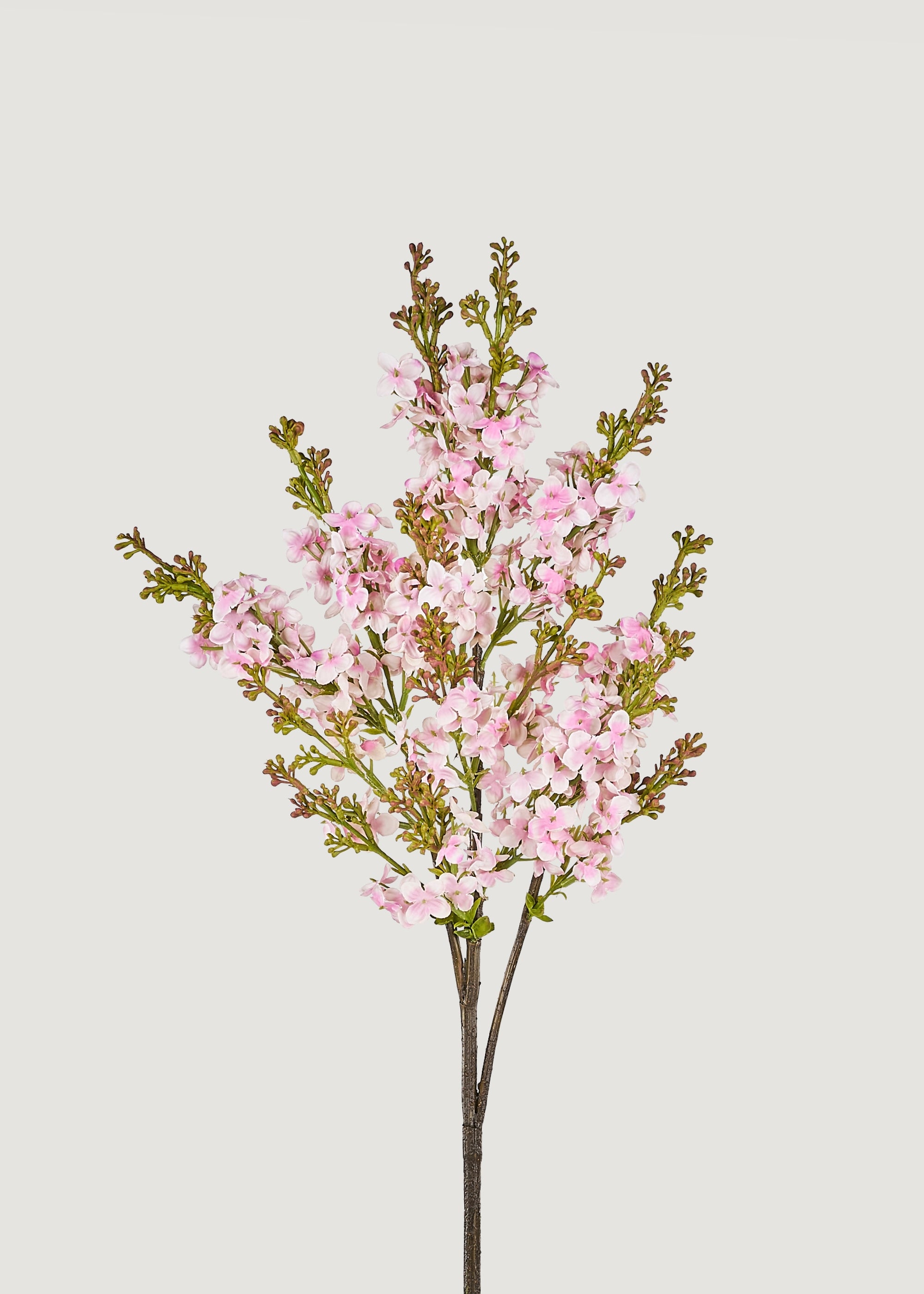 artificial lilacs in pink