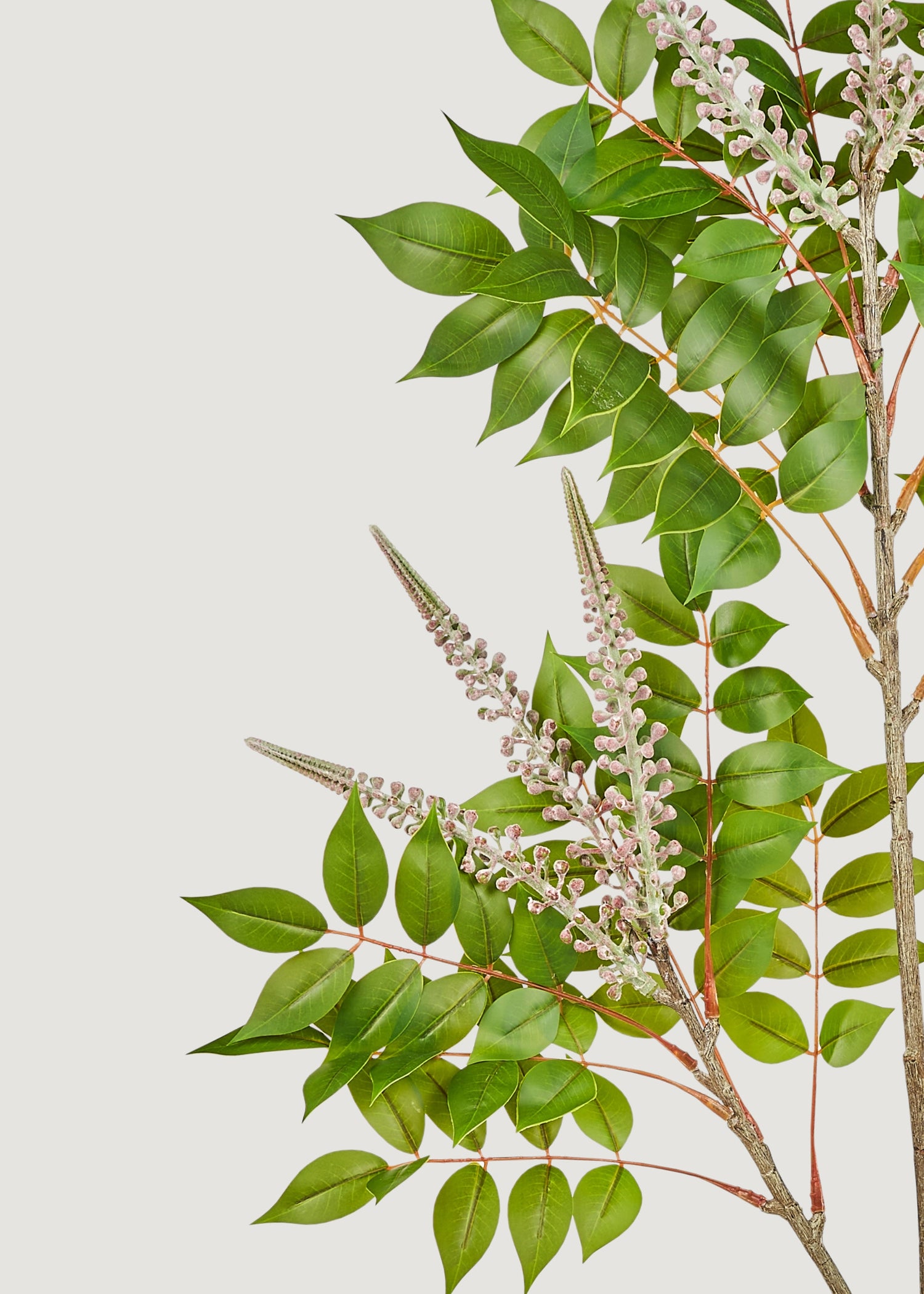 Close-up of Artificial Japanese Lacquer Tree Leaves