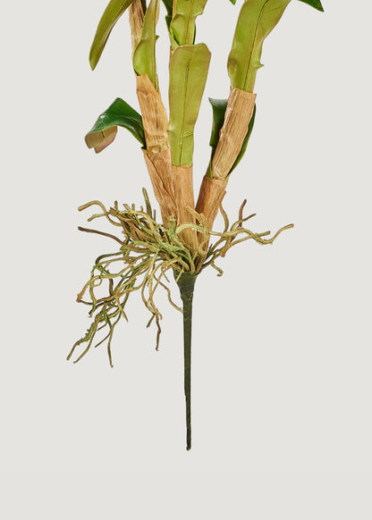 Close-up of Artificial Dendrobium Orchid Plant Pick