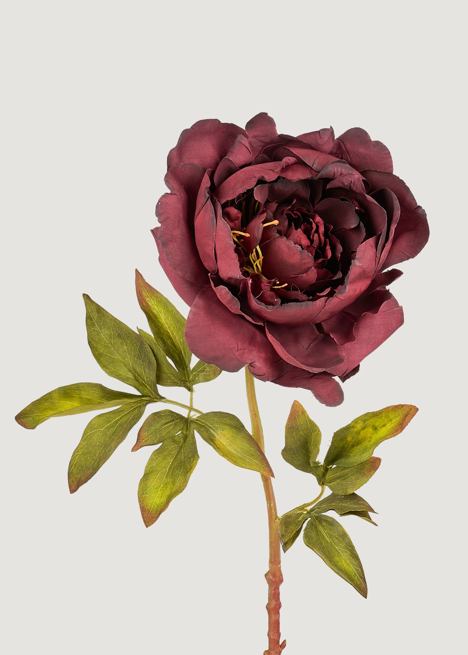 Close-up of Smokey Plum Purple Faux Peony