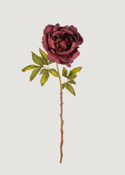 Smokey Plum Purple Fake Peony