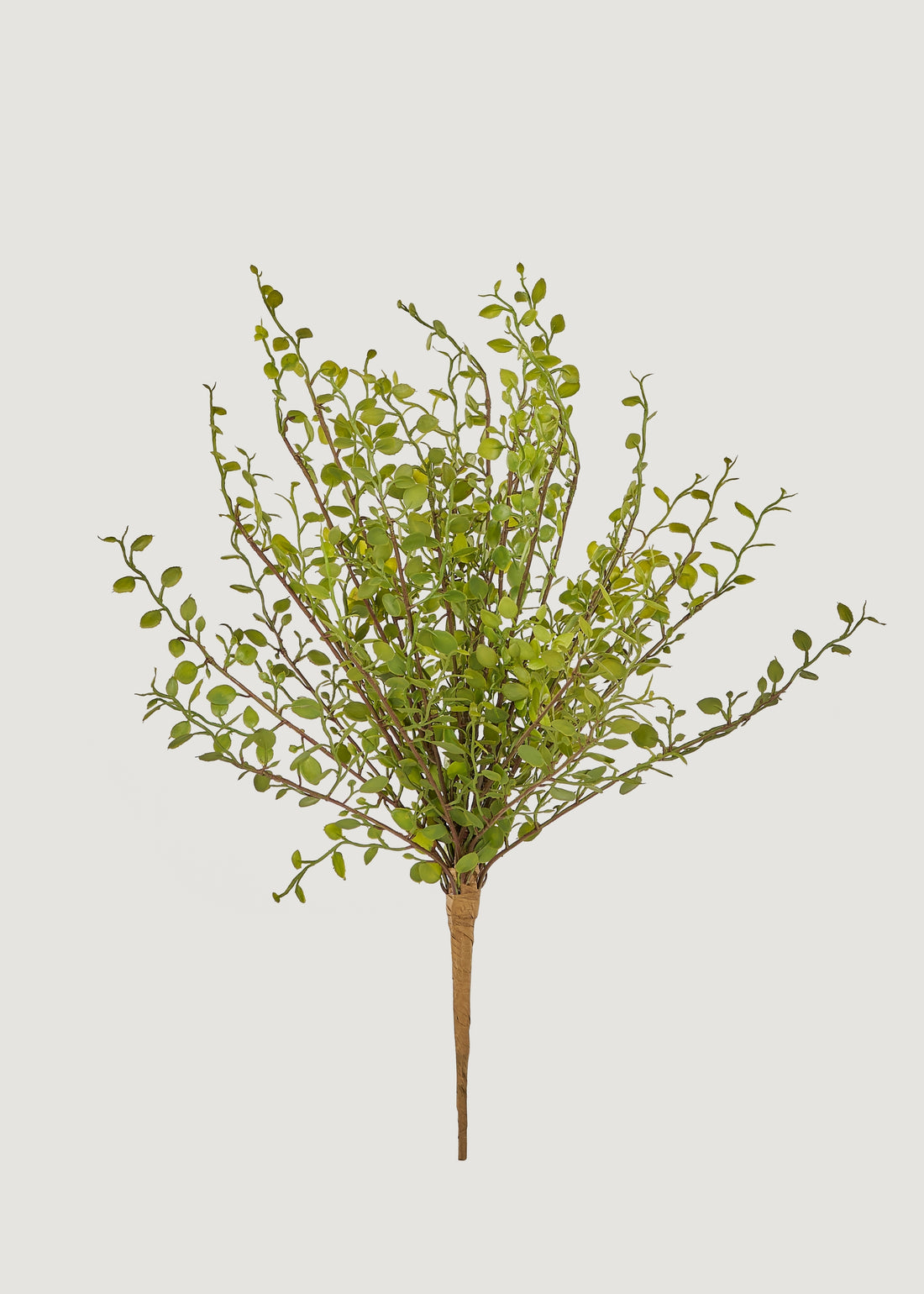 Artificial Maidenhair Creeping Vine Bush
