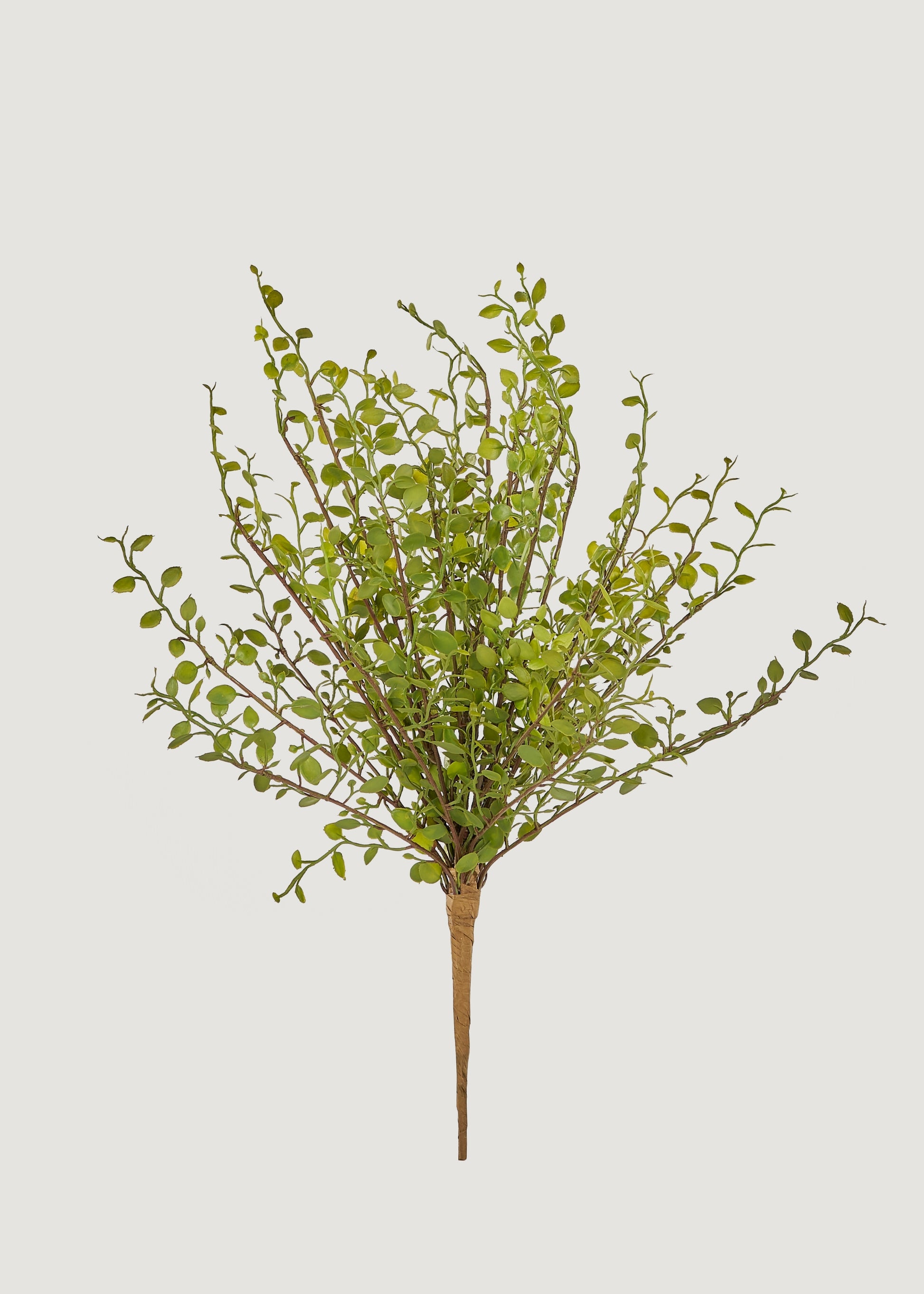 Artificial Maidenhair Creeping Vine Bush