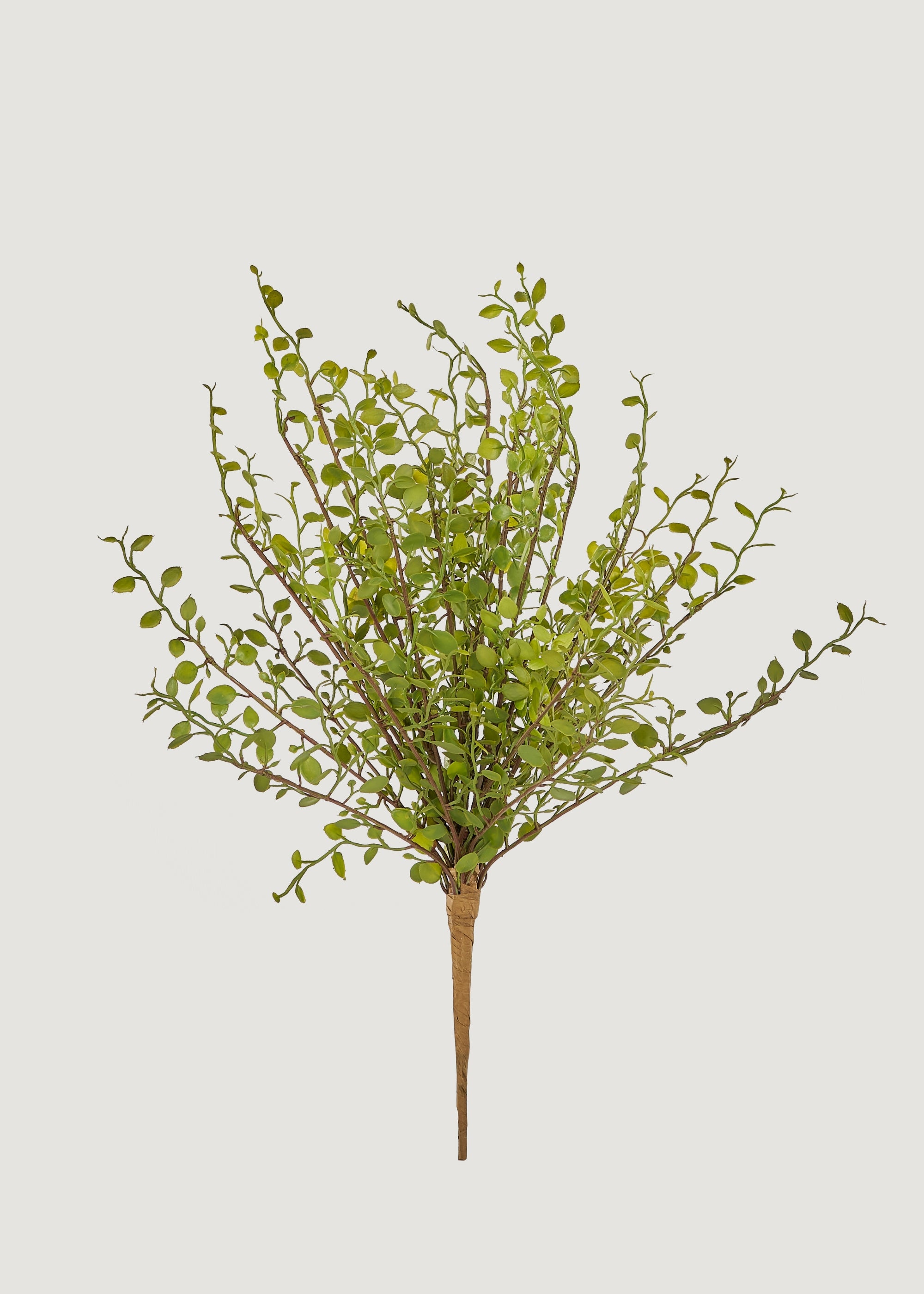 Artificial Maidenhair Creeping Vine Bush