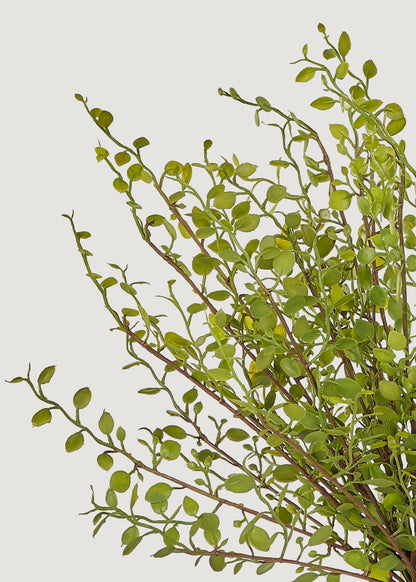 Close-up of artificial maidenhair fern