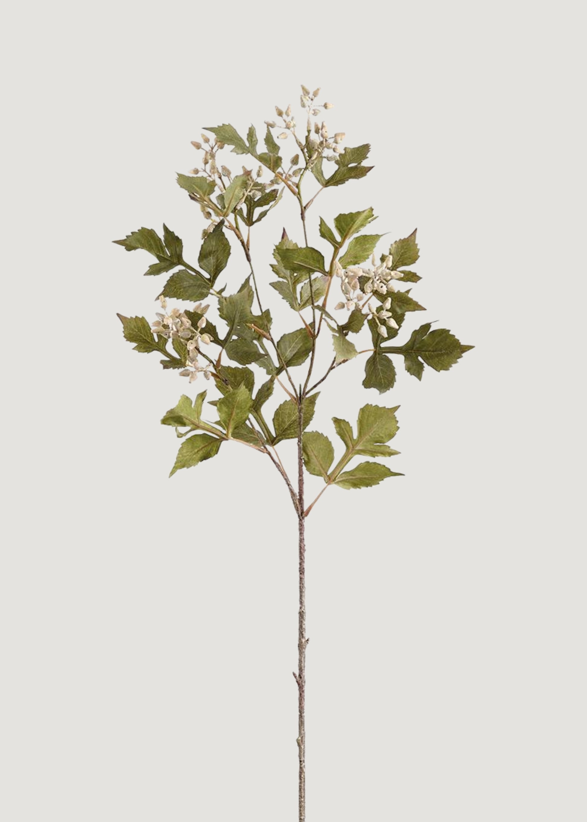 Fake Seeded Ash Leaf Branch