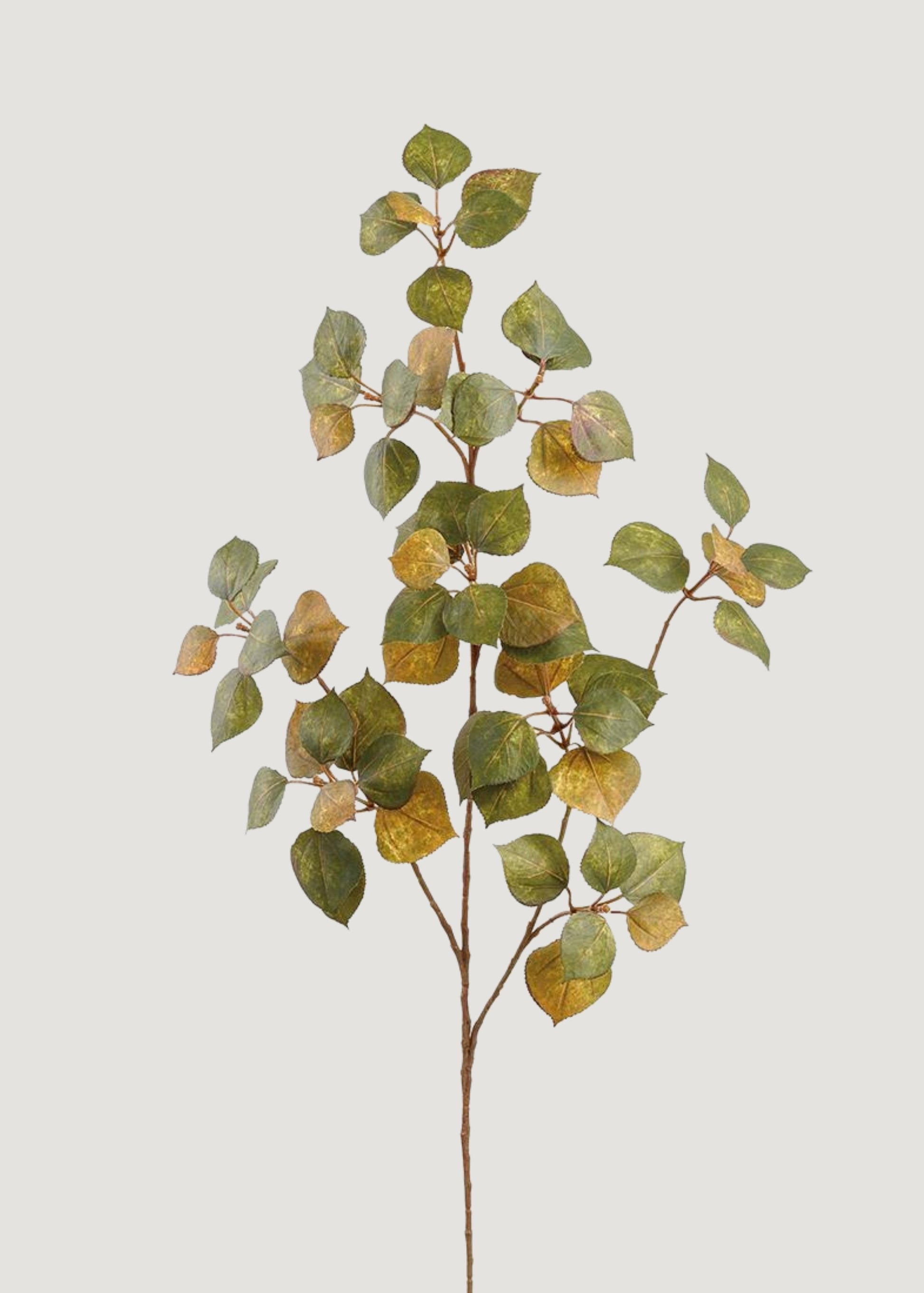 Mustard and Green Fake Cotinus Fall Leaf Branch 
