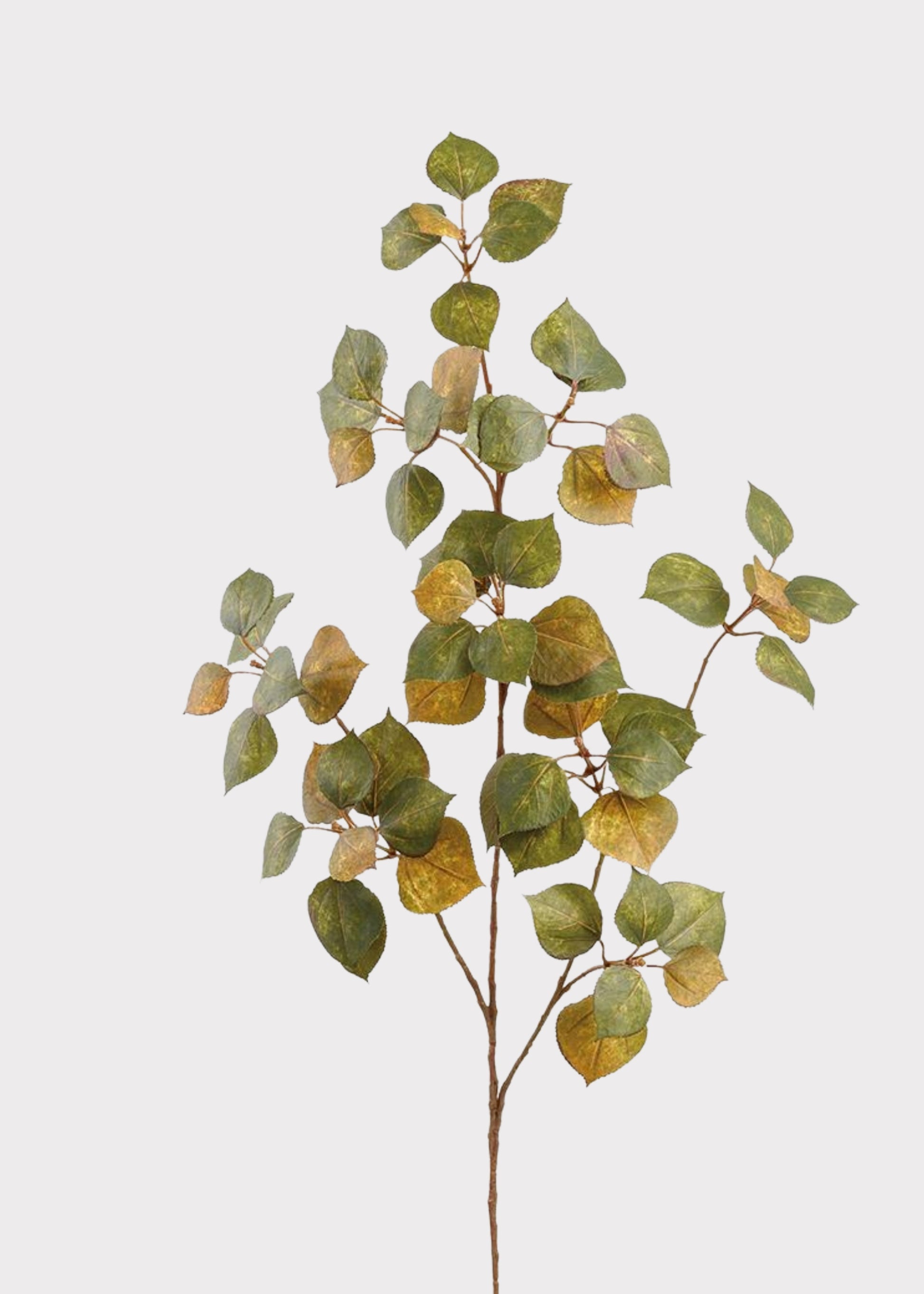 Mustard and Green Fake Cotinus Fall Leaf Branch 