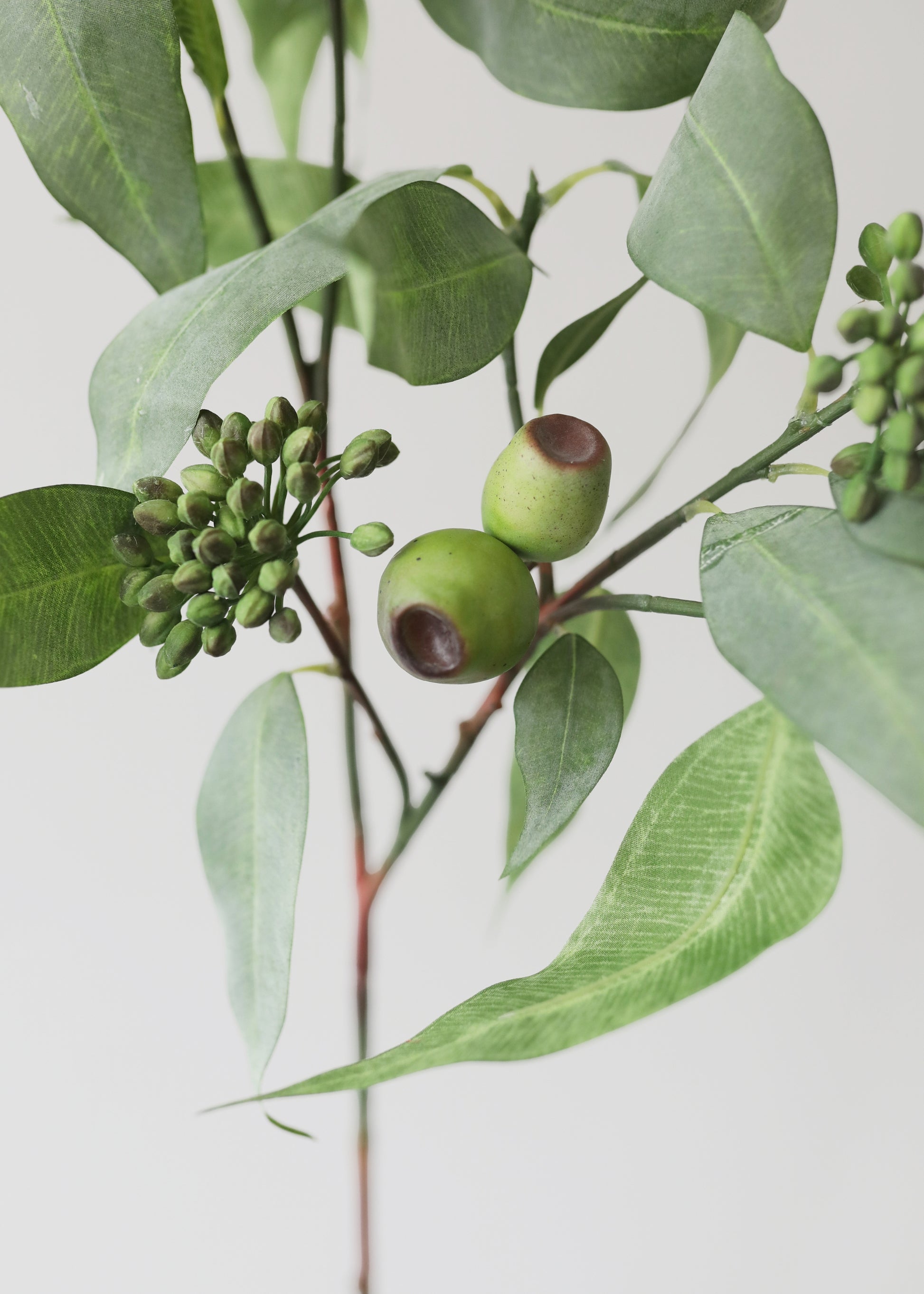 Close-up of Faux Seeded Eucalyptus