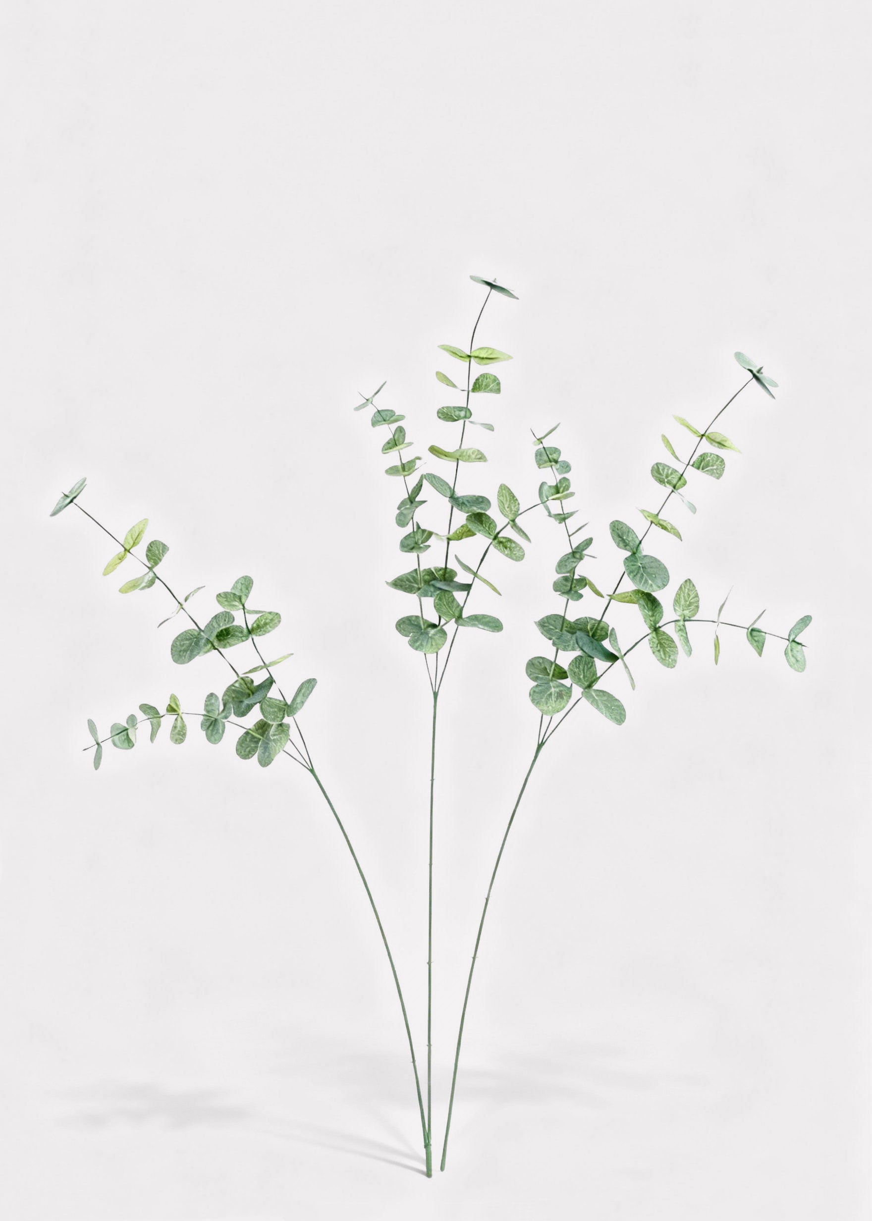 Artificial eucalyptus branches 