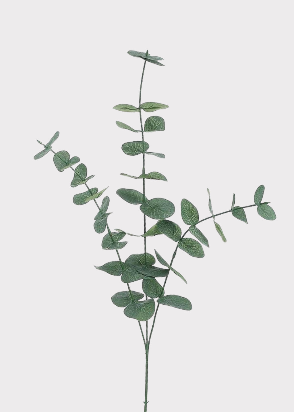 Fake Spiral Eucalyptus Branch 
