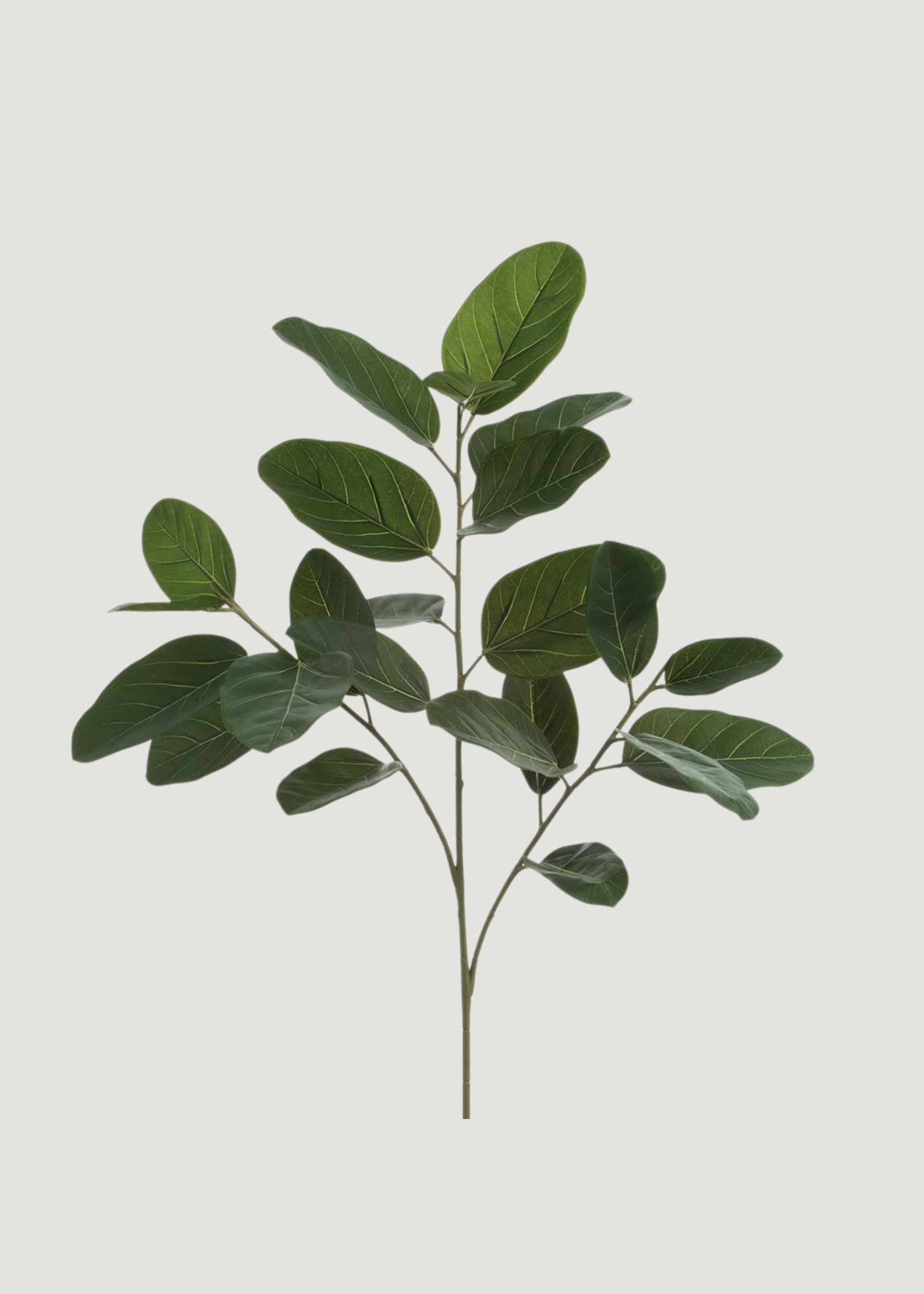 Fake Ficus Leaf Branch