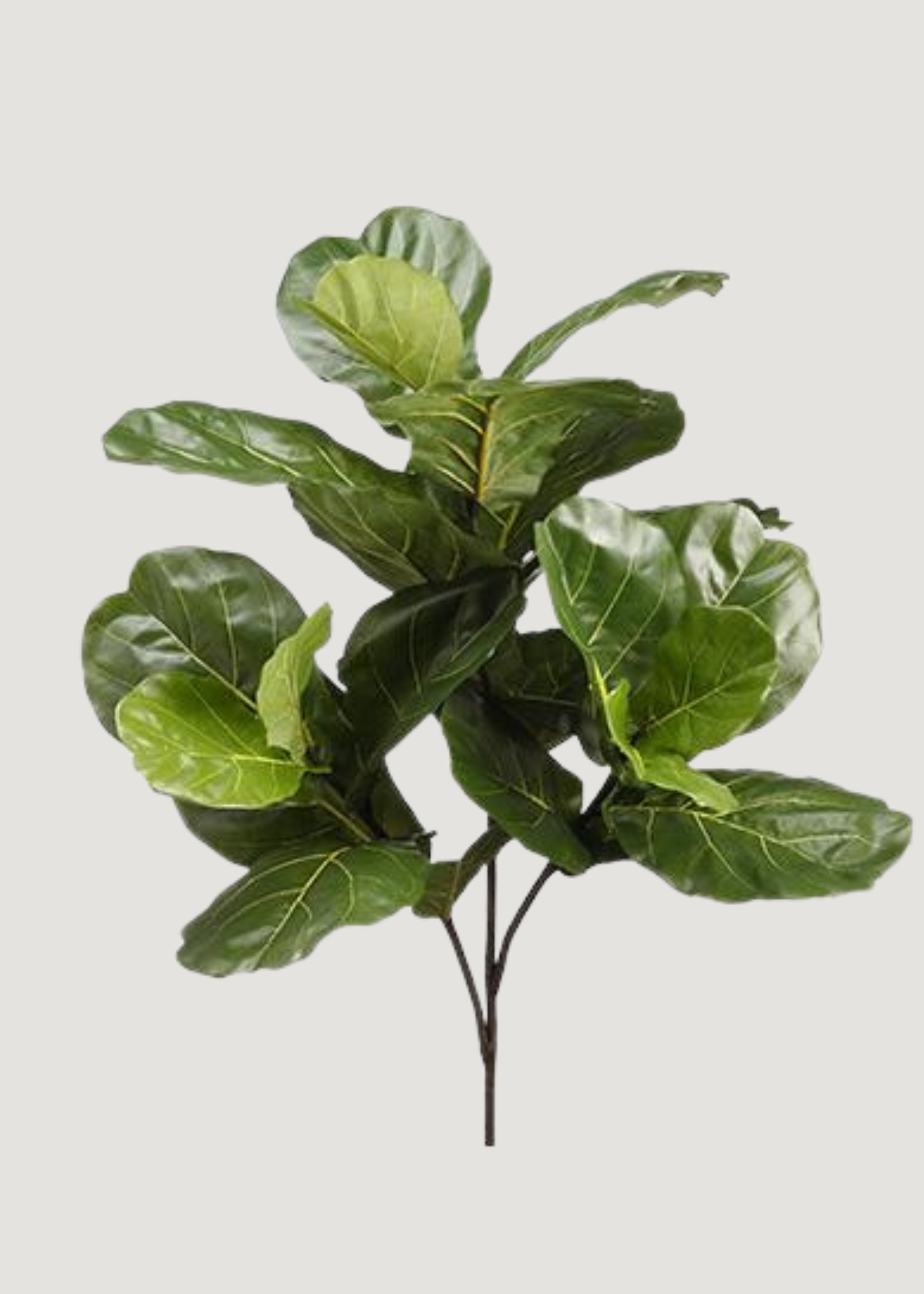 Tall Artificial Fiddle Leaf Fig Branch