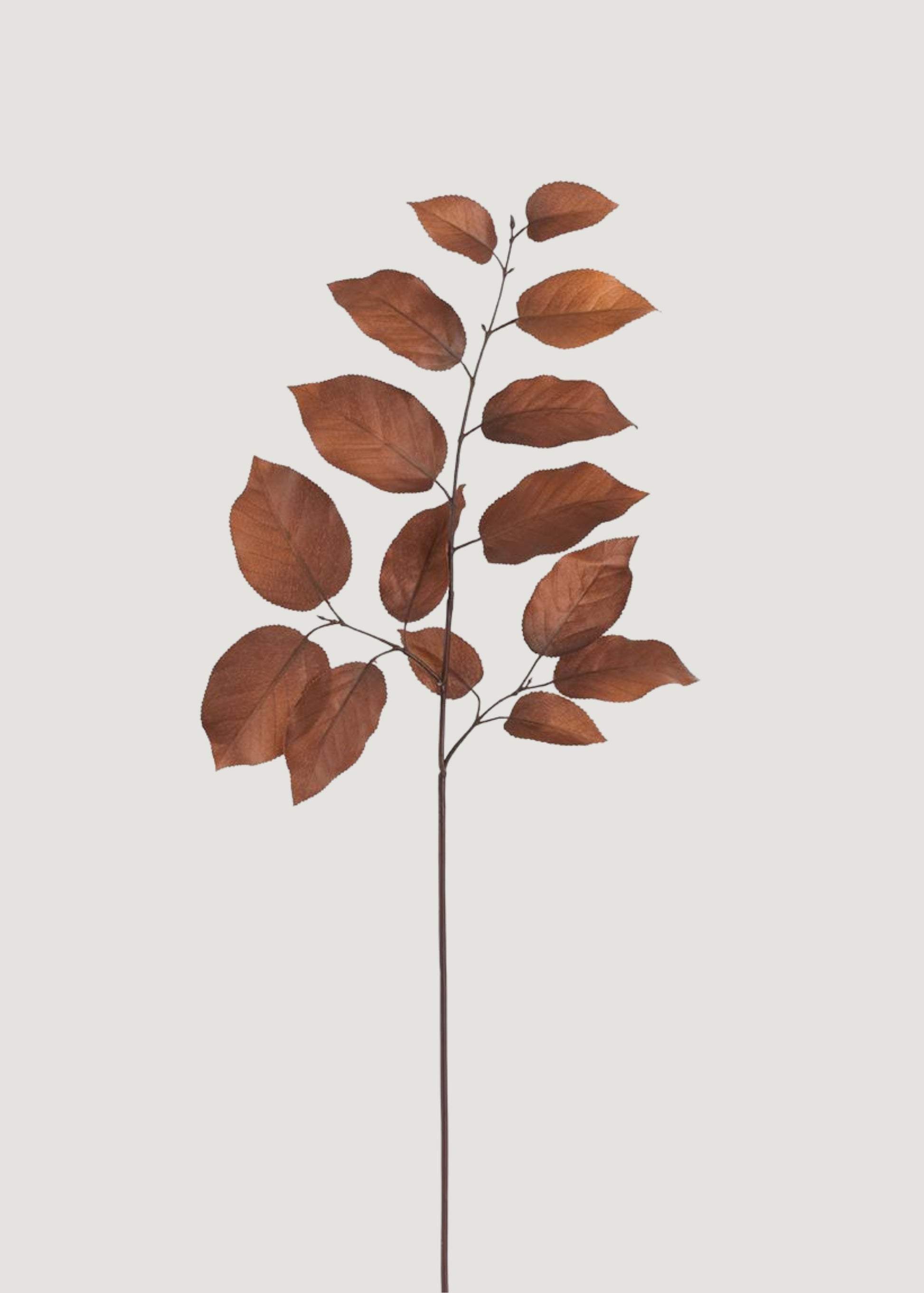 Artificial Salal Leaf Branch in Brown