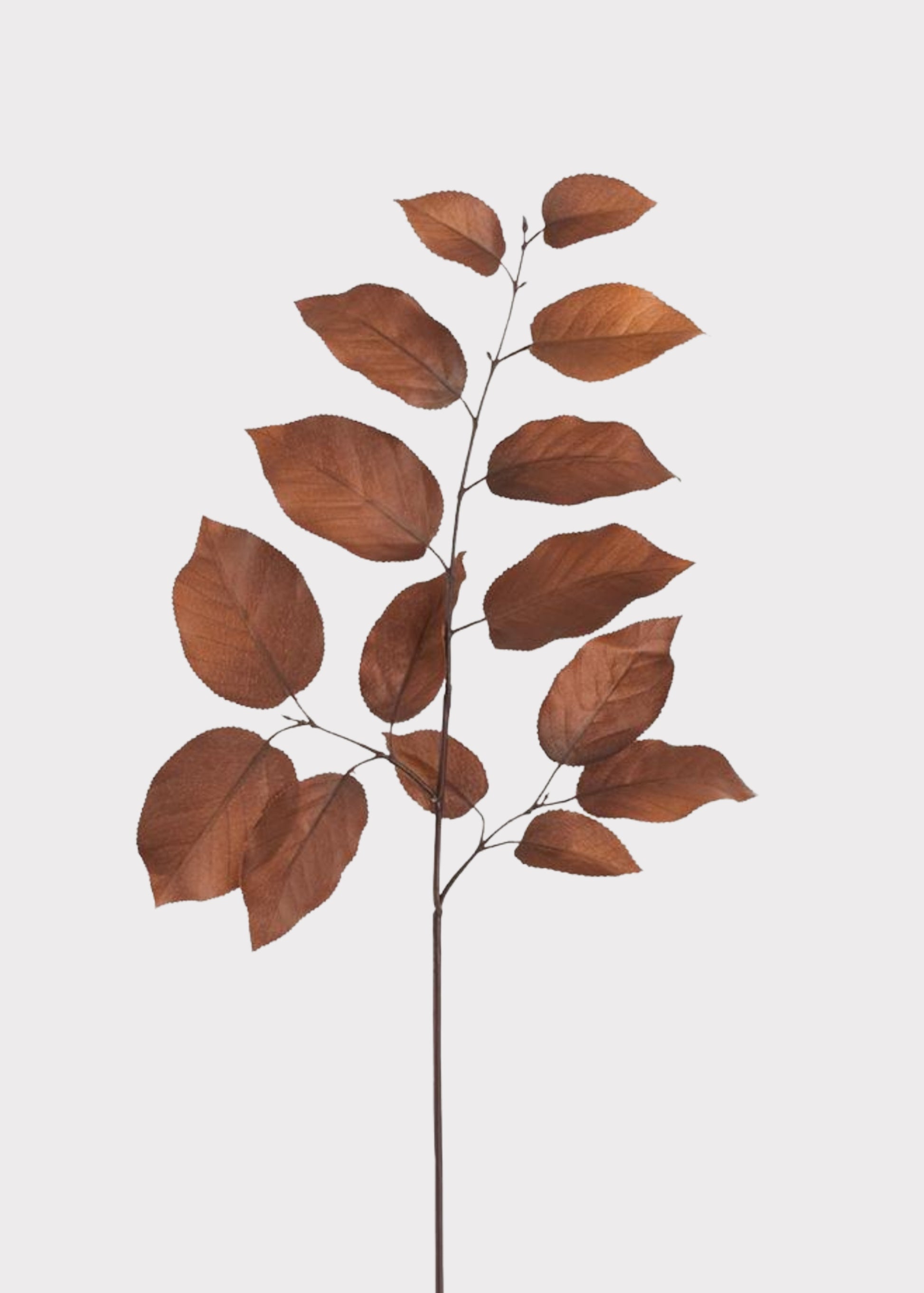 Artificial Salal Leaf Branch in Brown