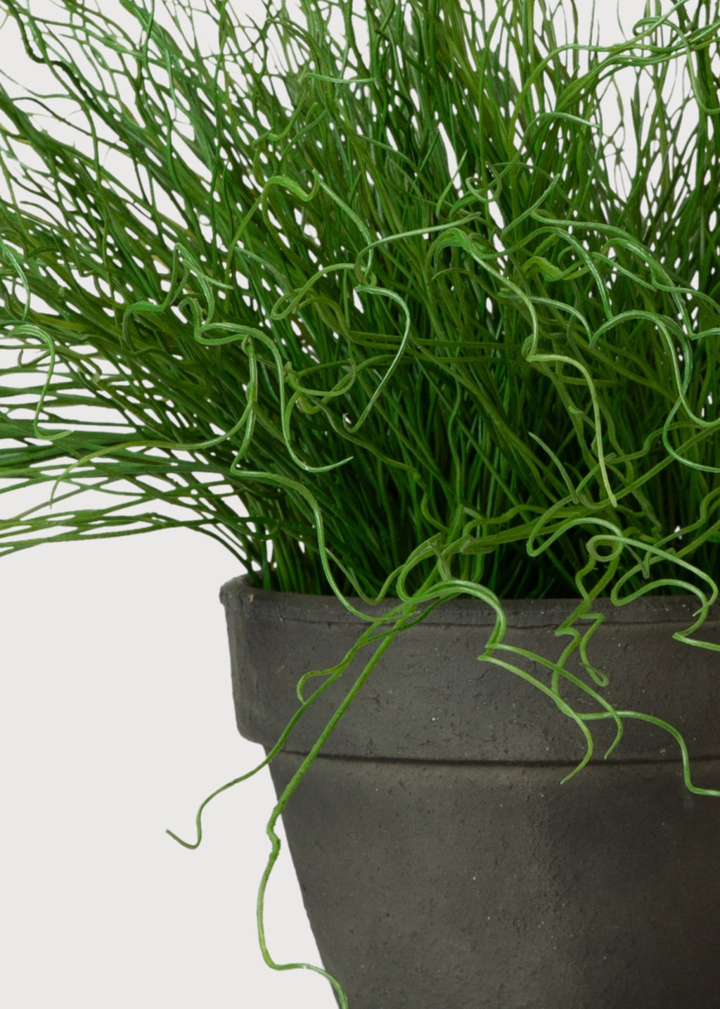 Close-up of a Faux Pencil Cactus 