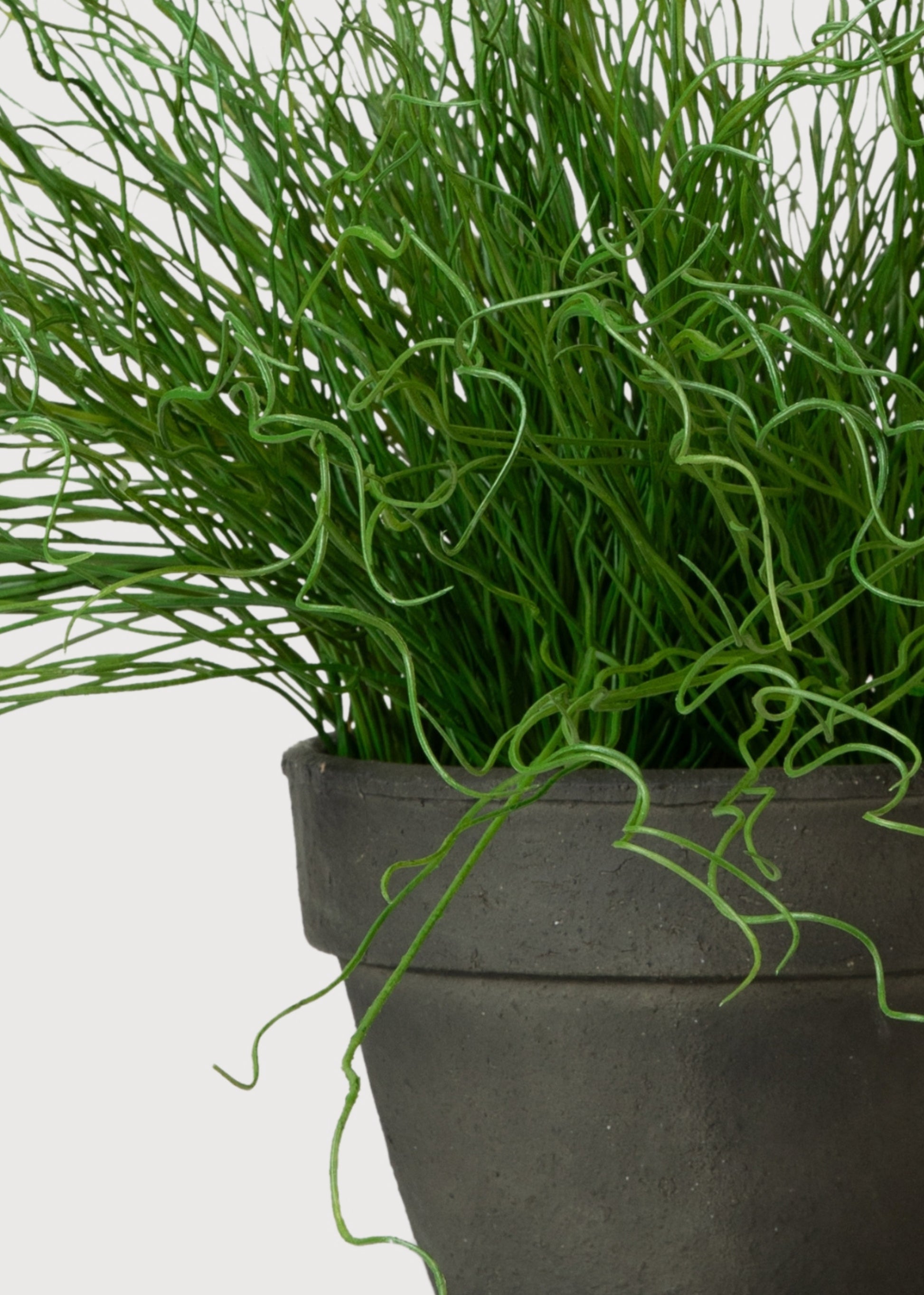 Close-up of a Faux Pencil Cactus 