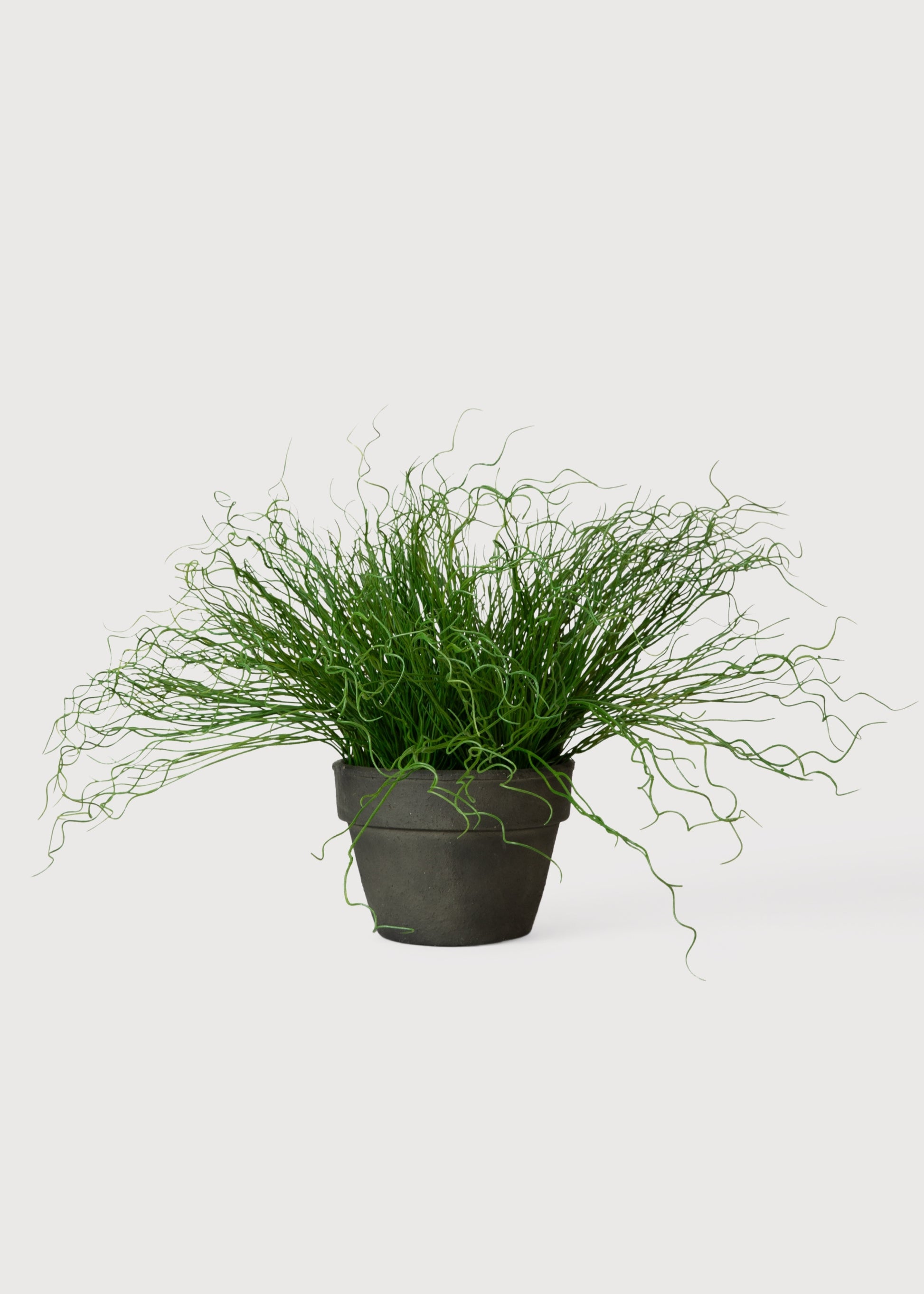 faux pencil cactus Artificial Potted Pencil Cactus Plant