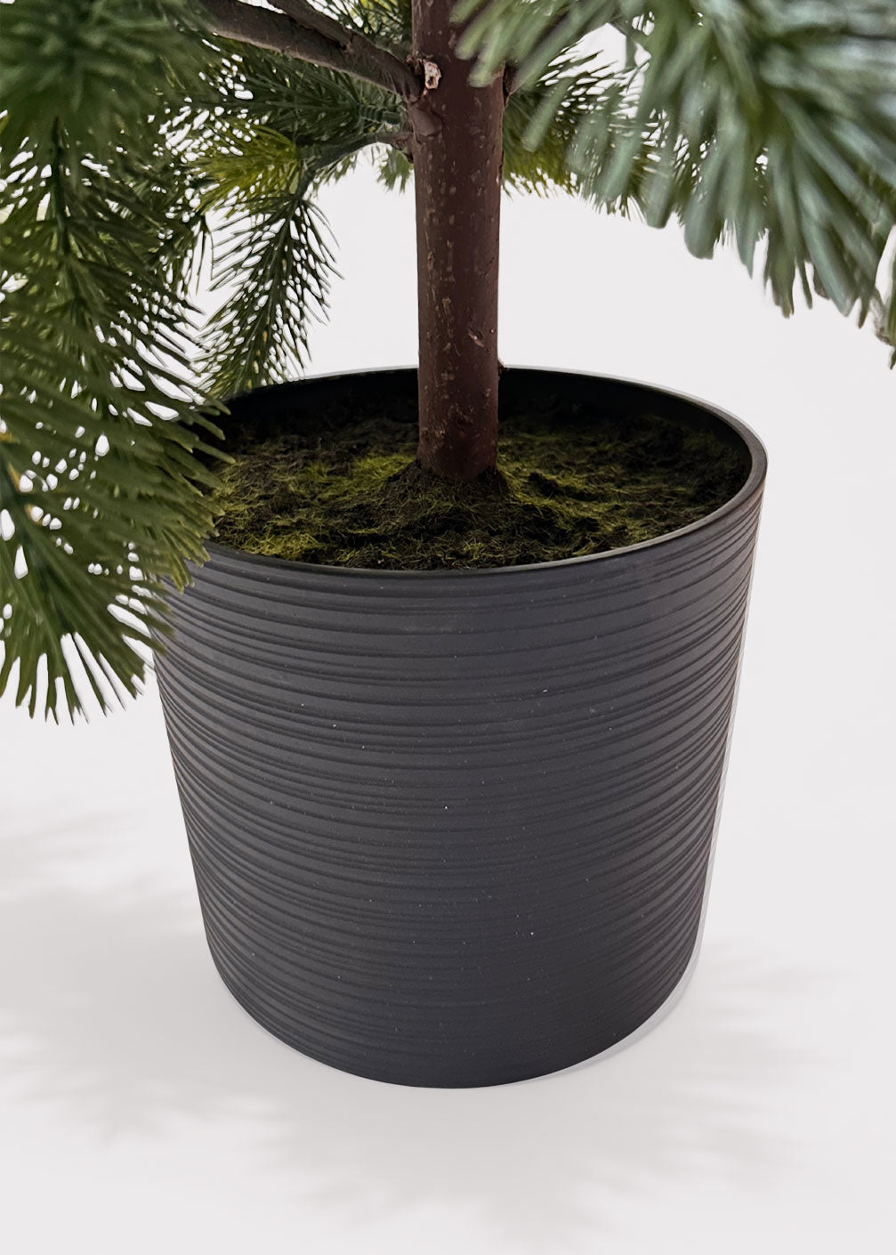 black pot and faux moss and dirt for a potted princess pine tree