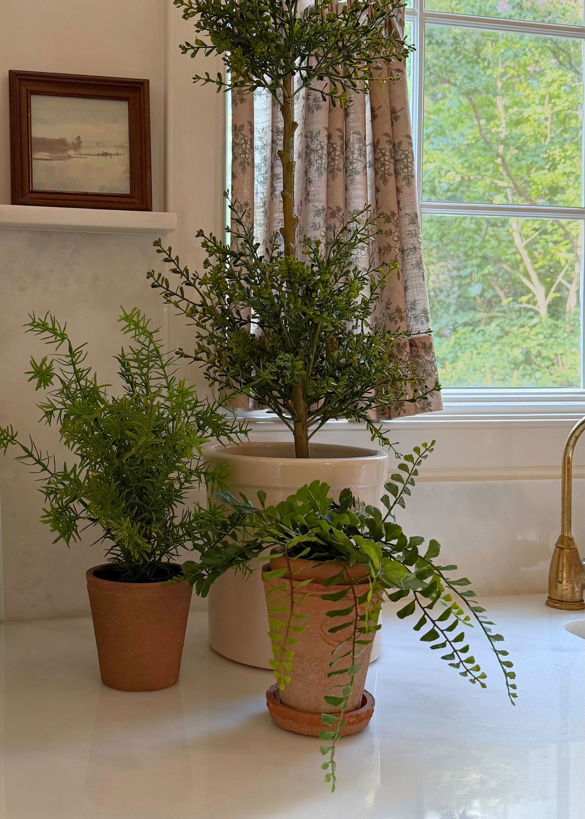 Three potted green houseplants arranged on a white kitchen counter in front of a window with patterned curtains. The plants include a tall topiary-style tree in a large cream pot, a smaller leafy plant in a terracotta pot, and a fern in a textured terracotta pot with a saucer.